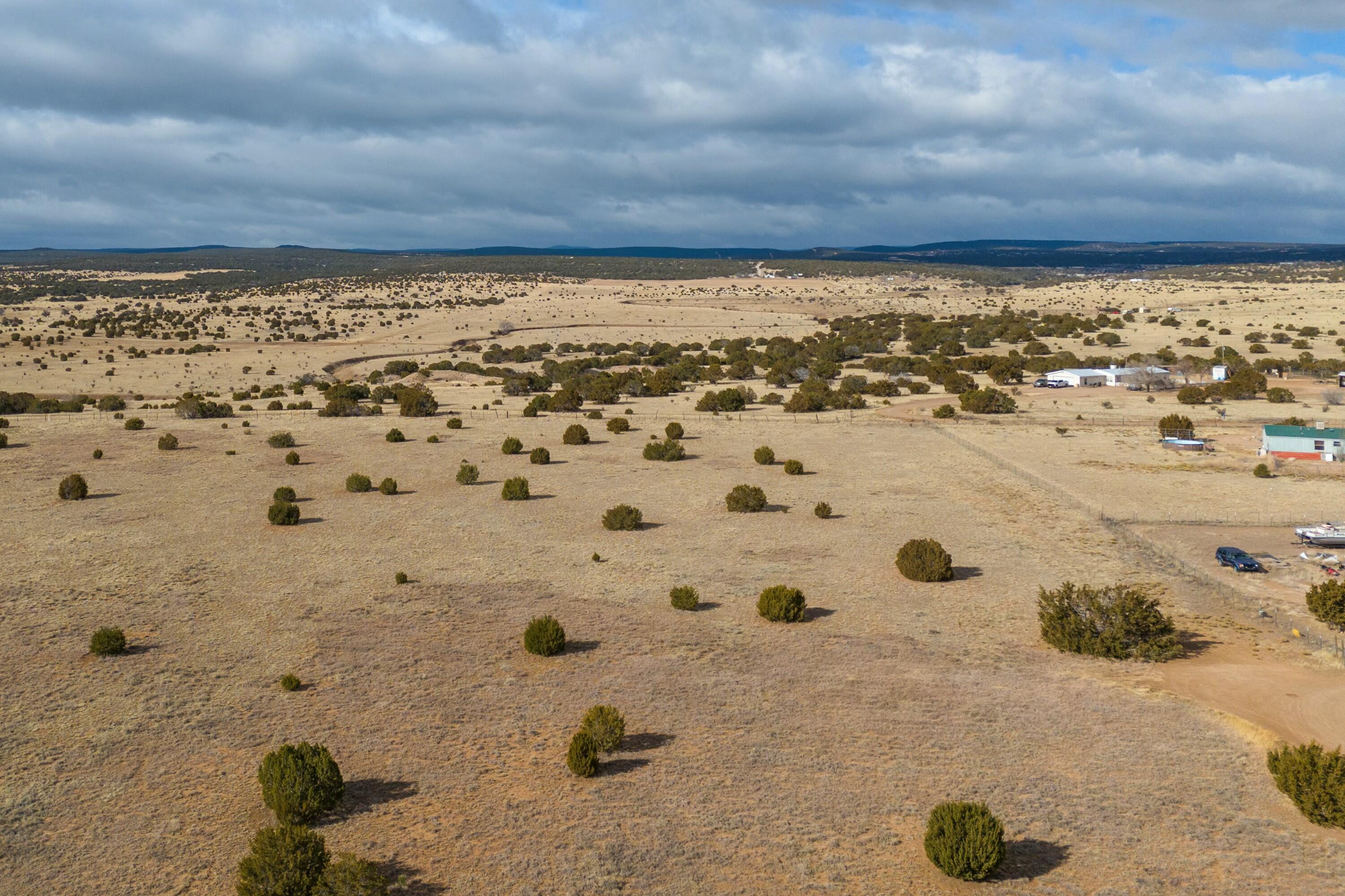 Photo 4 —  Bushnell