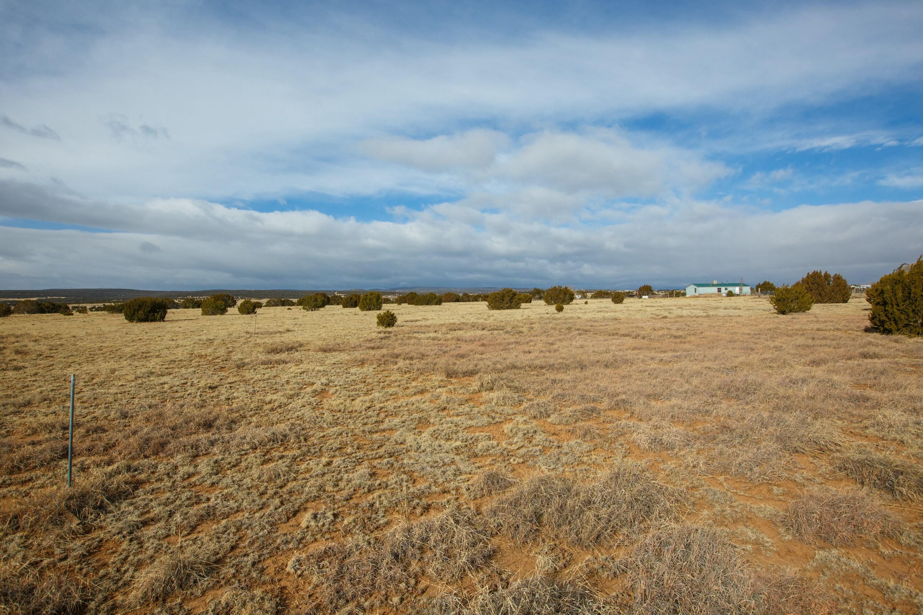 Photo 12 —  Bushnell
