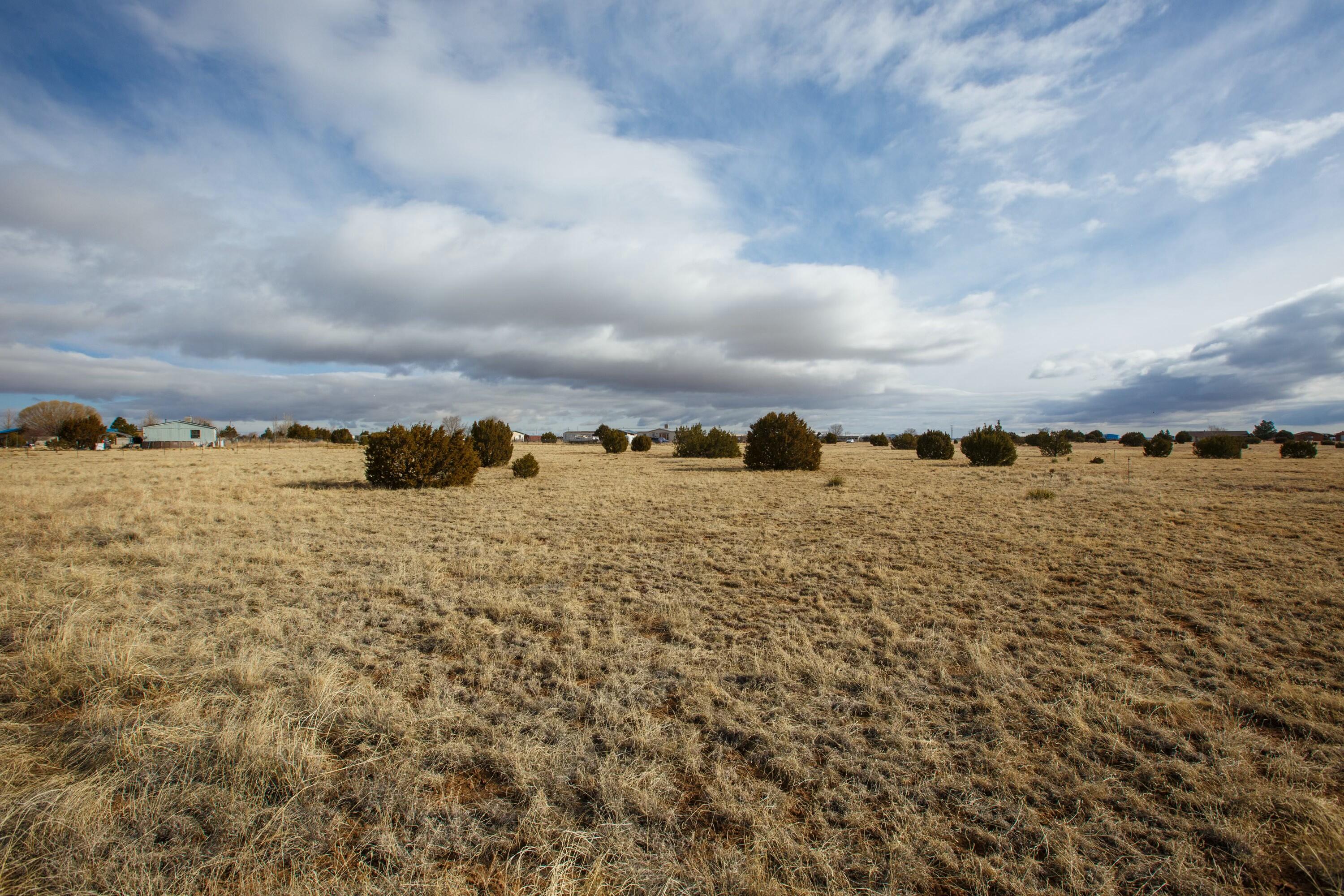 Photo 13 —  Bushnell