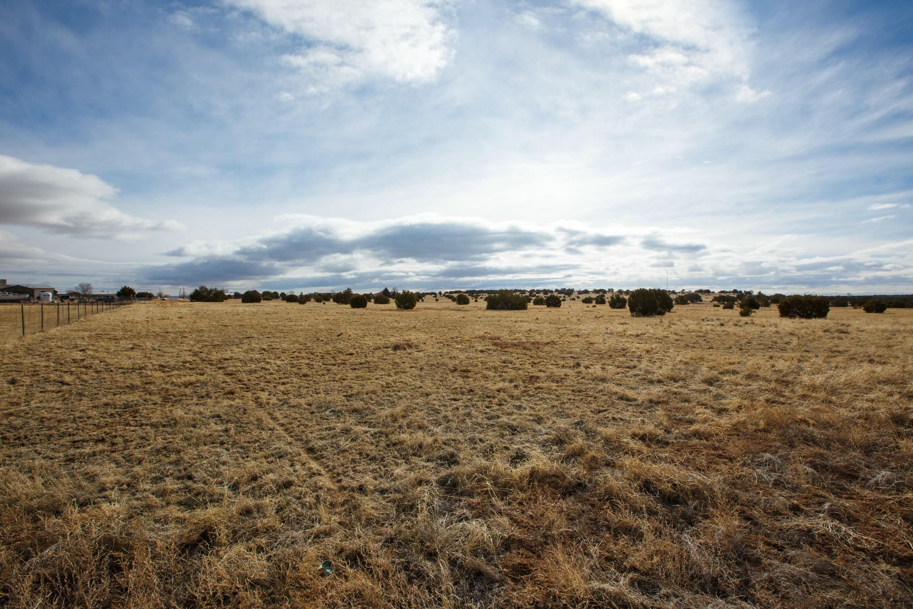 Photo 14 —  Bushnell
