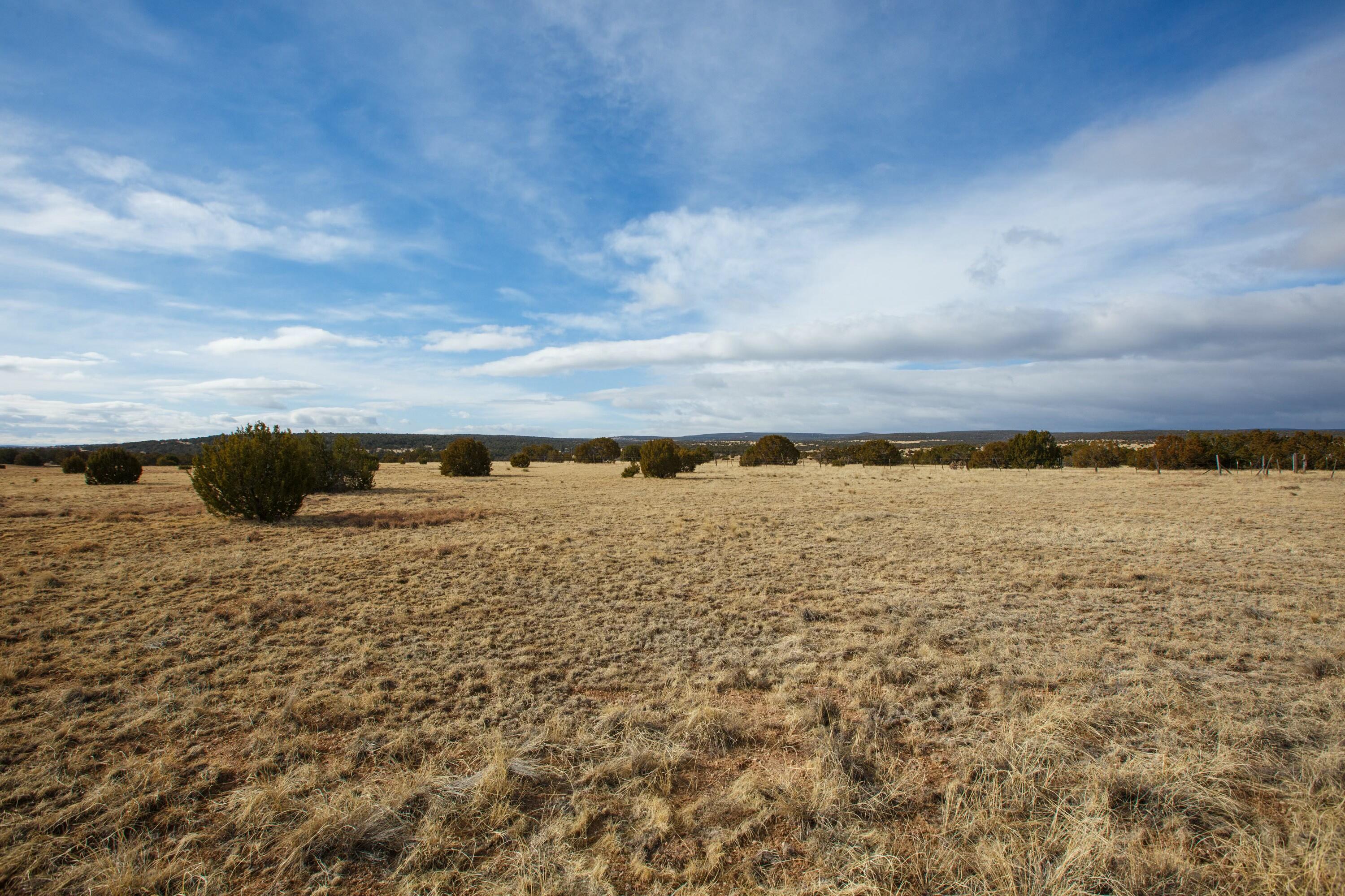 Photo 15 —  Bushnell