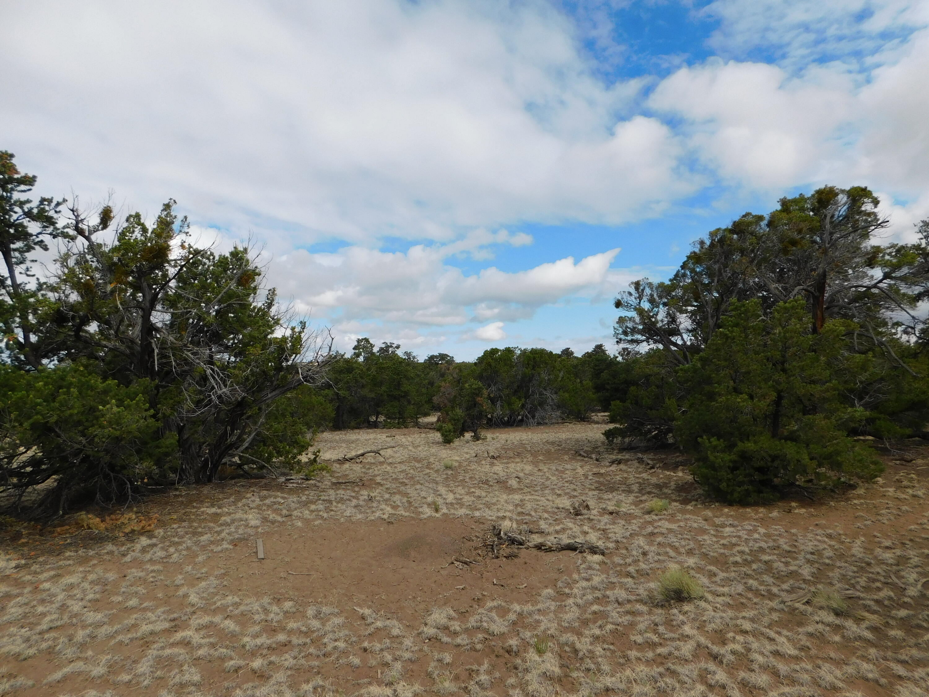 174 Agua Fria Loop