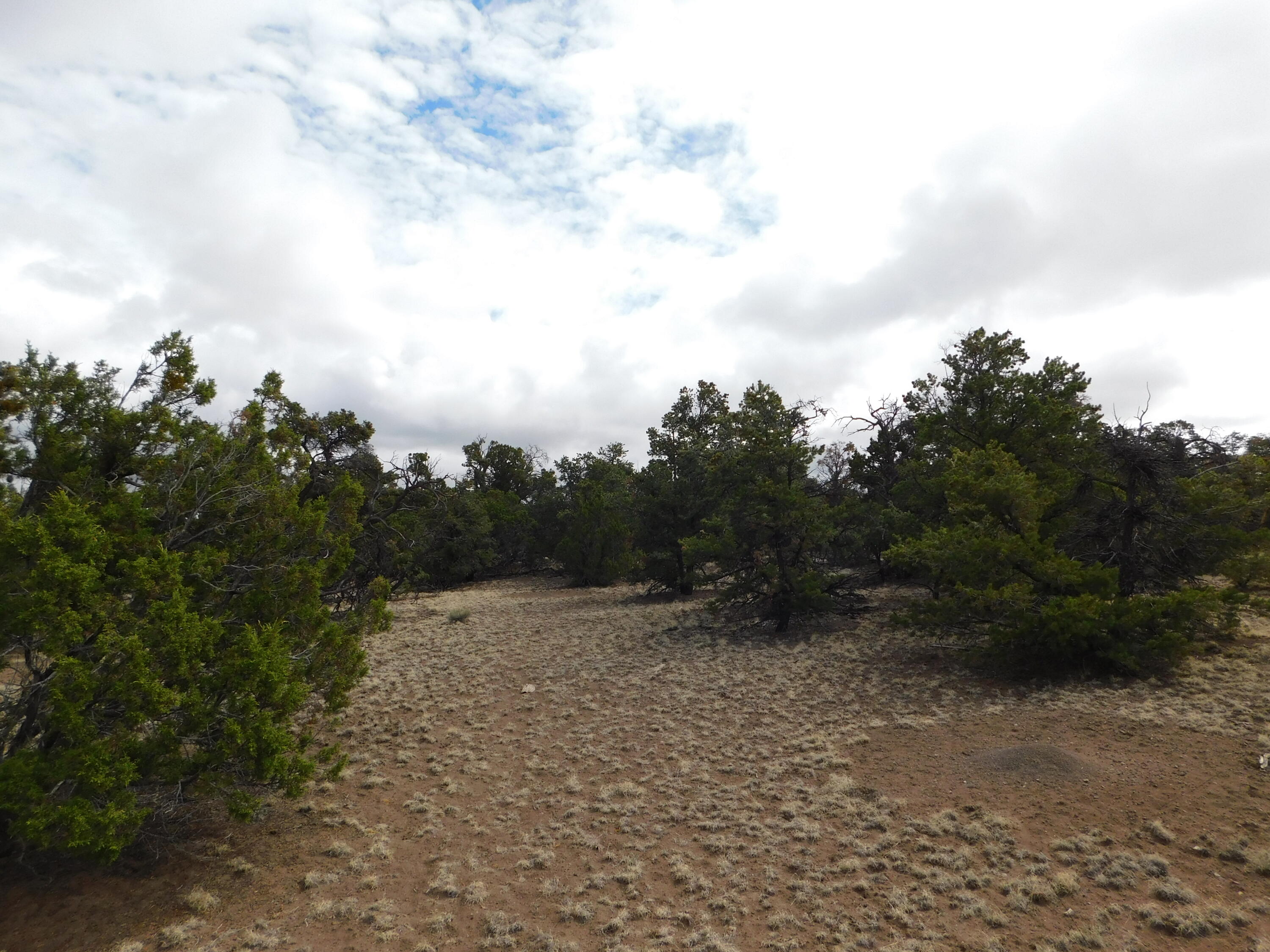 Photo 14 — 174 Agua Fria Loop