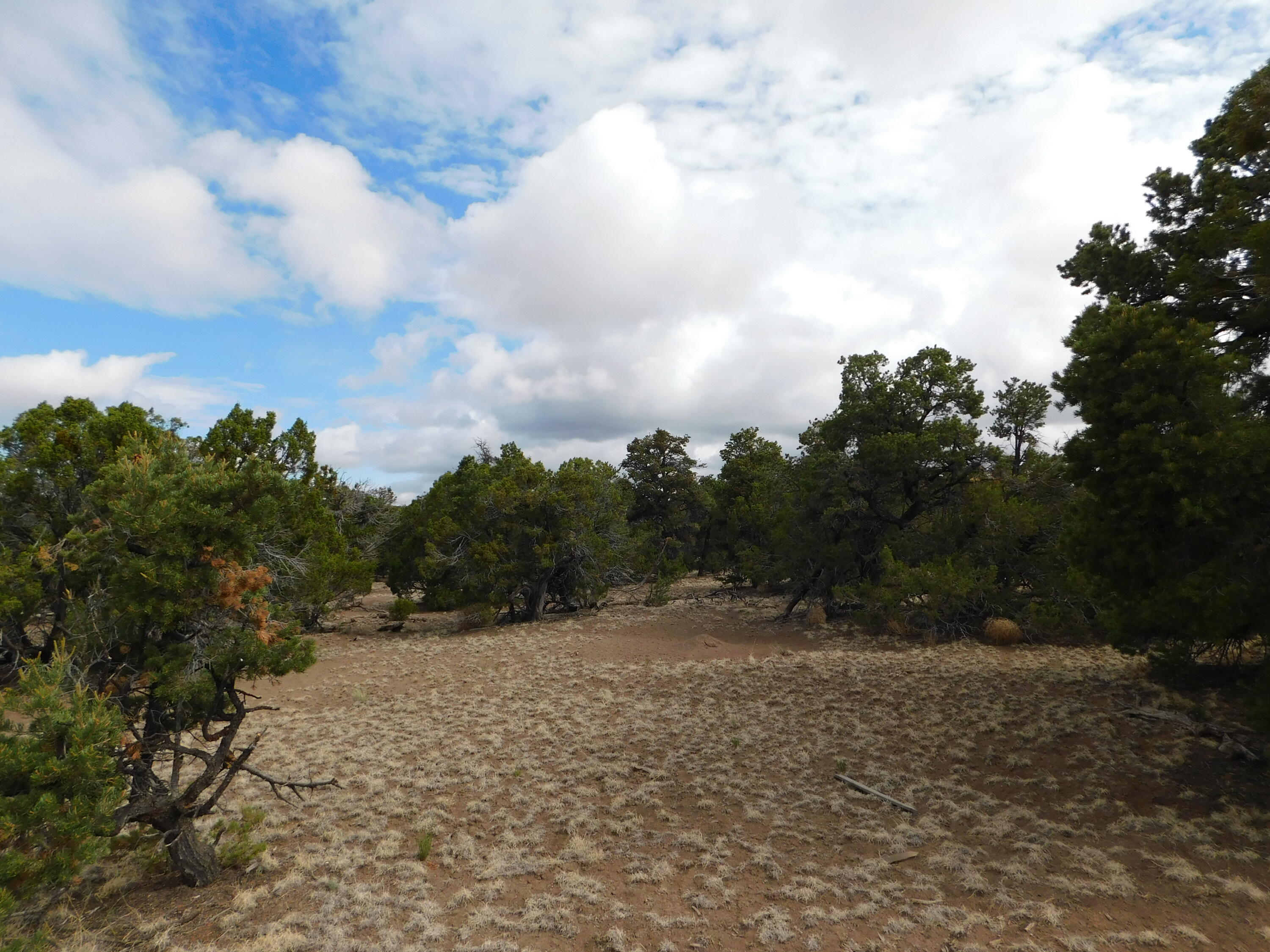 Photo 6 — 174 Agua Fria Loop