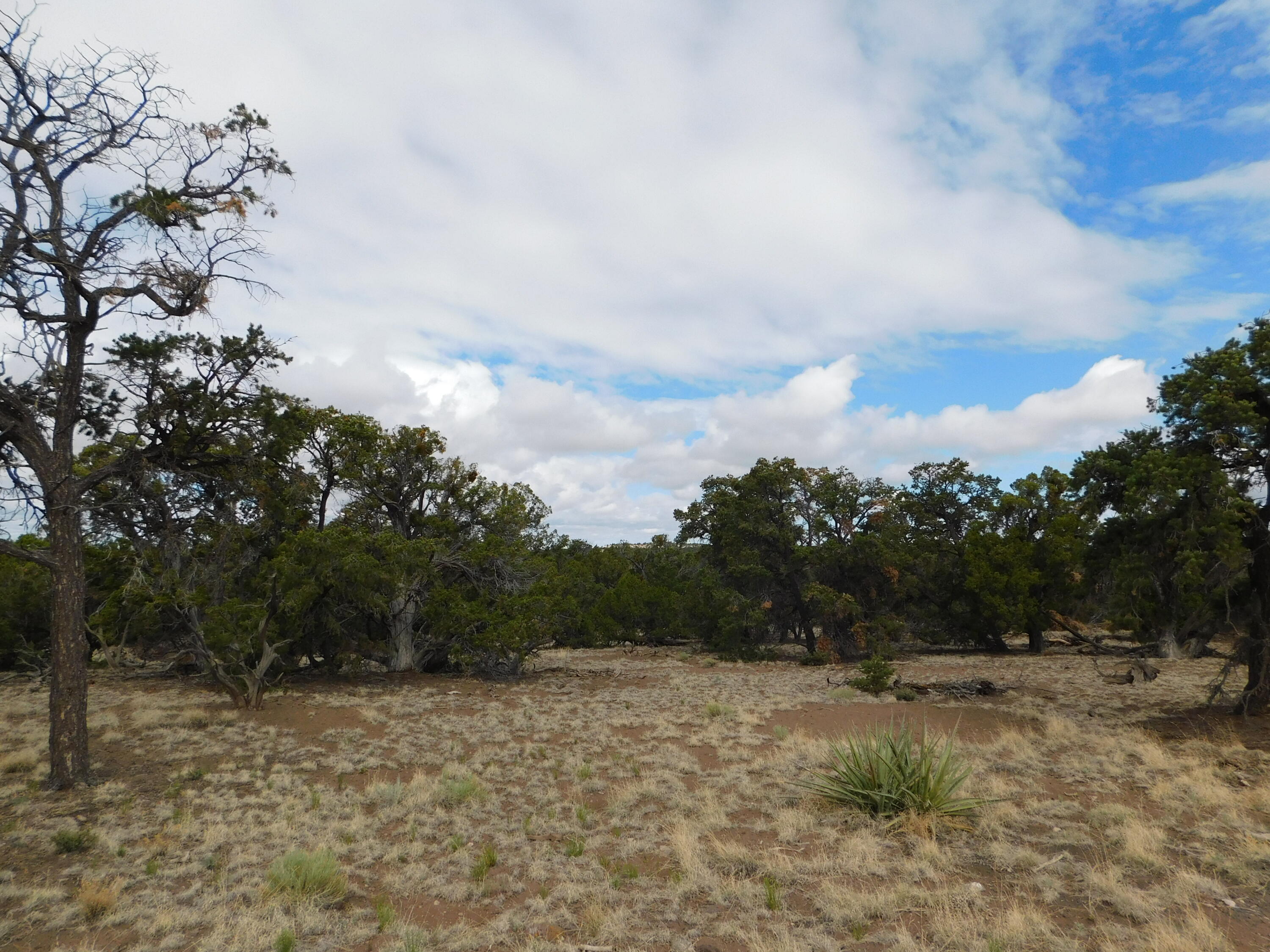 Photo 7 — 174 Agua Fria Loop