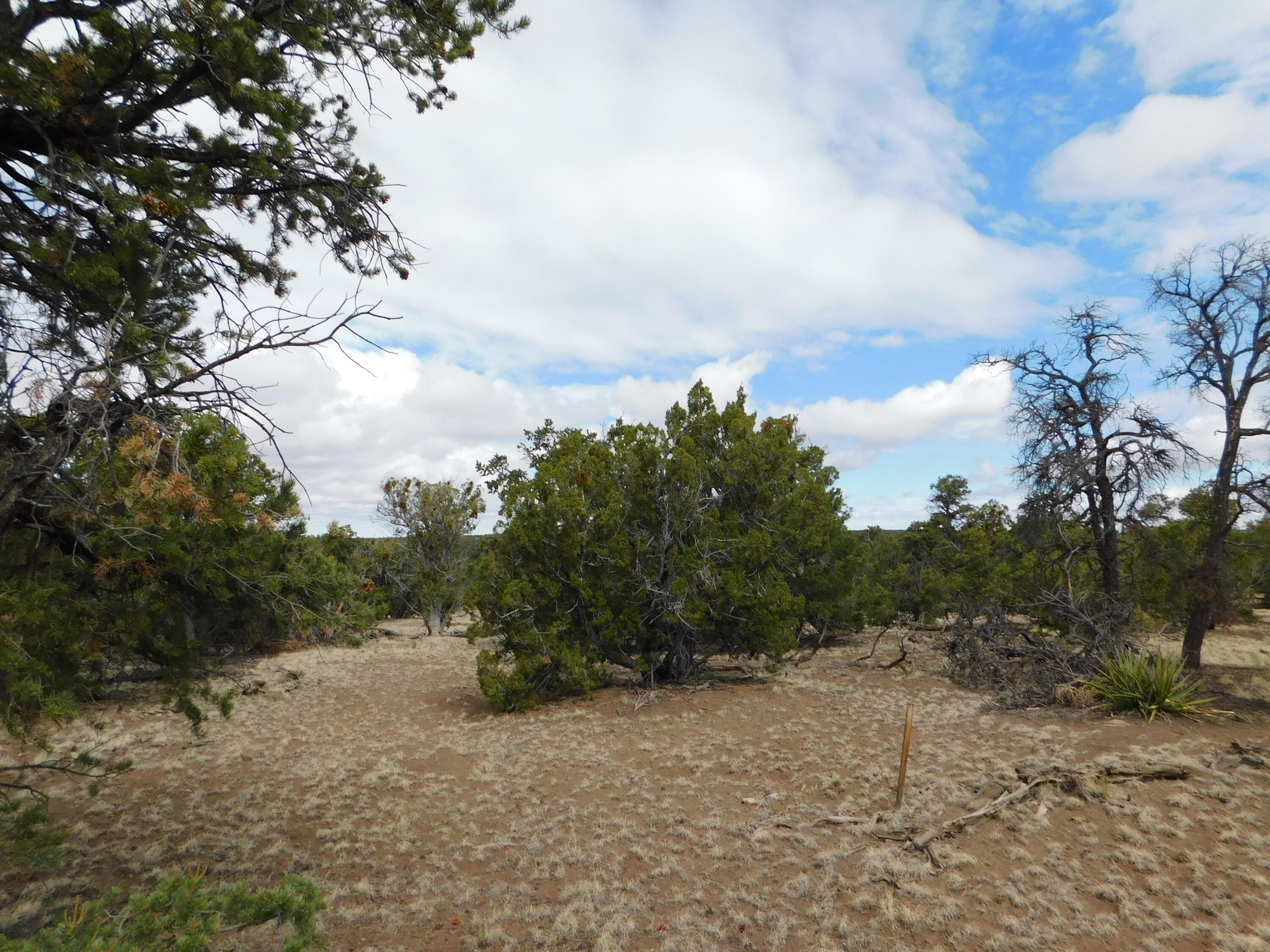Photo 8 — 174 Agua Fria Loop