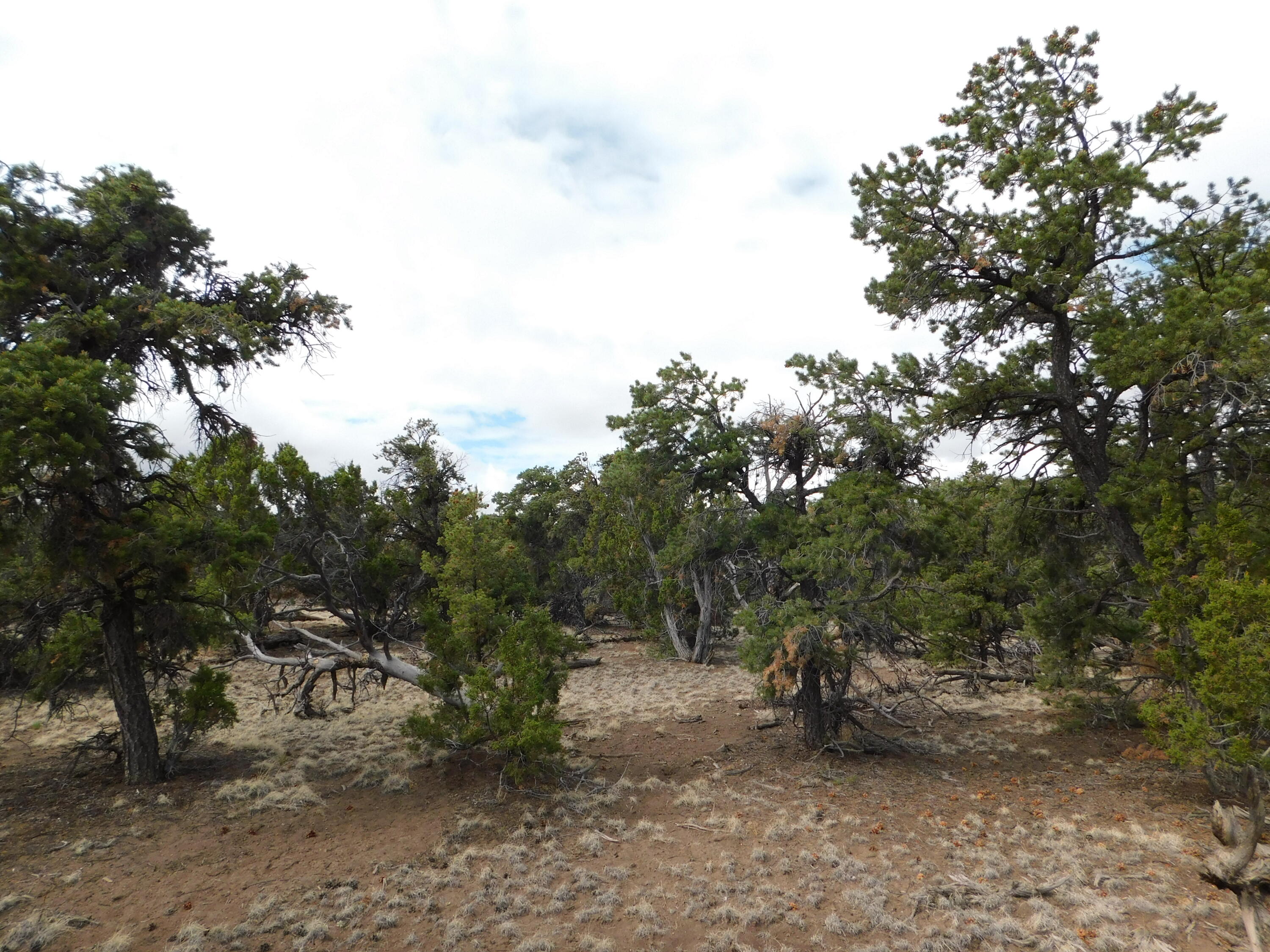 Photo 9 — 174 Agua Fria Loop
