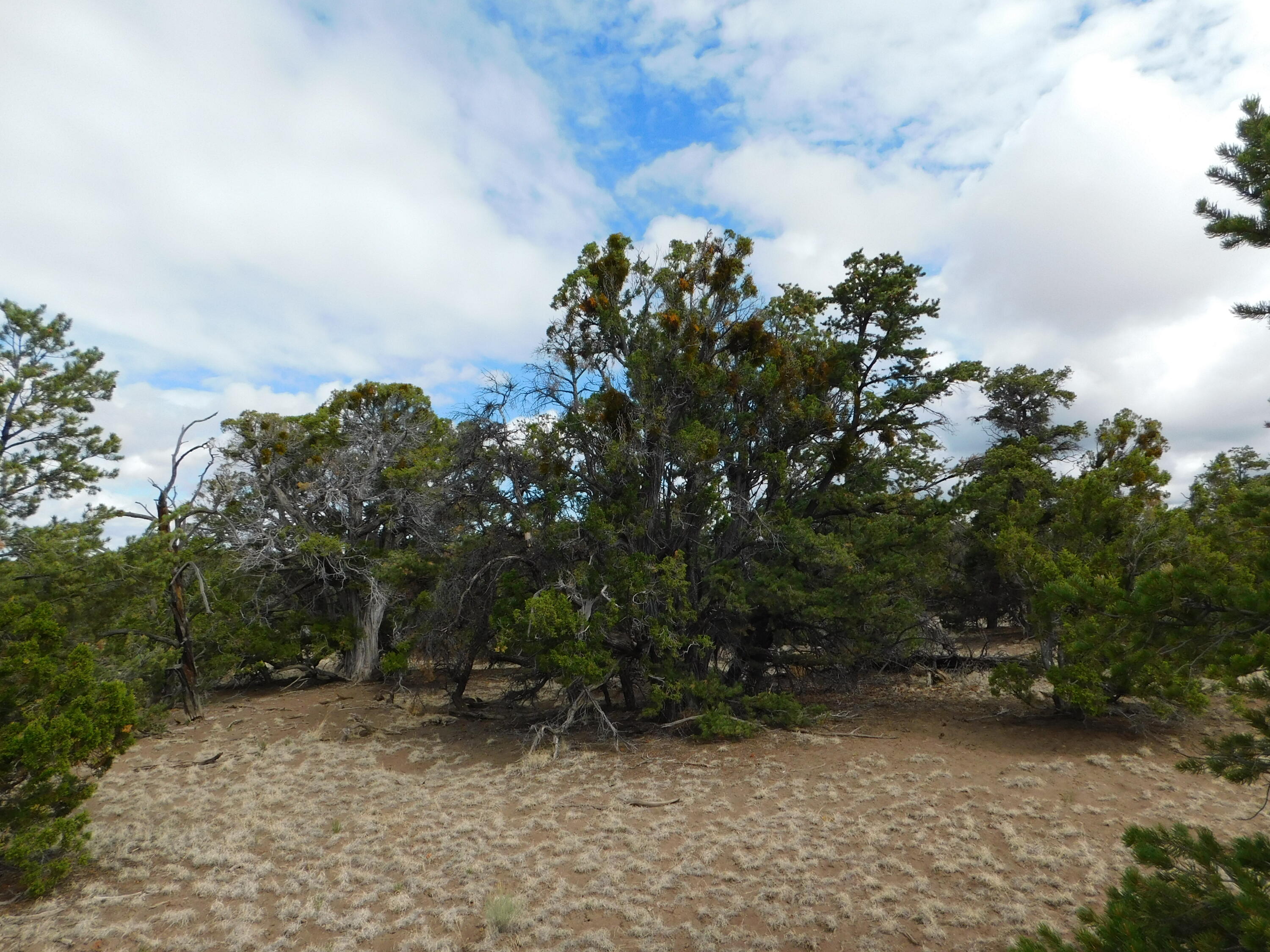 Photo 10 — 174 Agua Fria Loop
