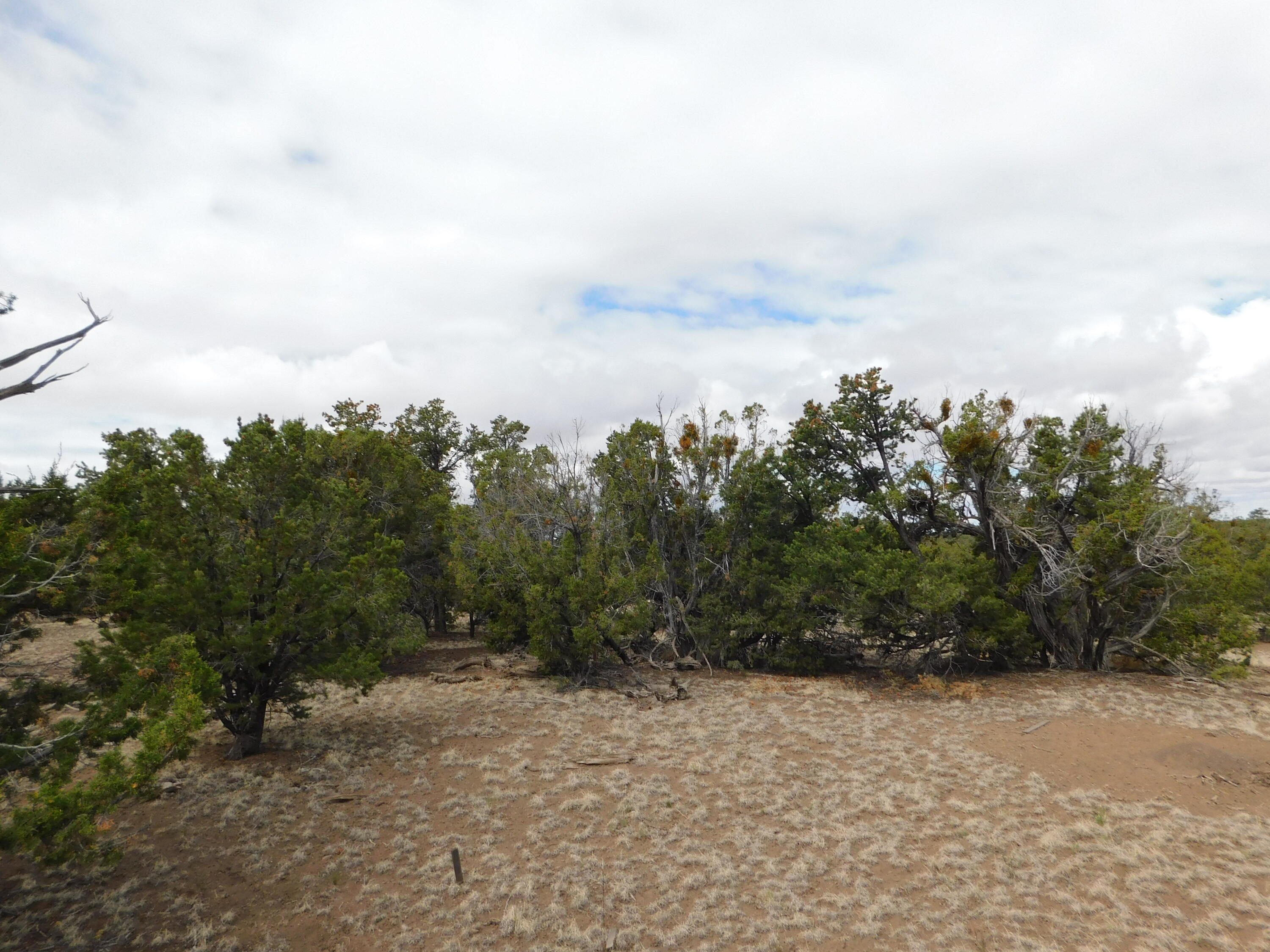 Photo 11 — 174 Agua Fria Loop