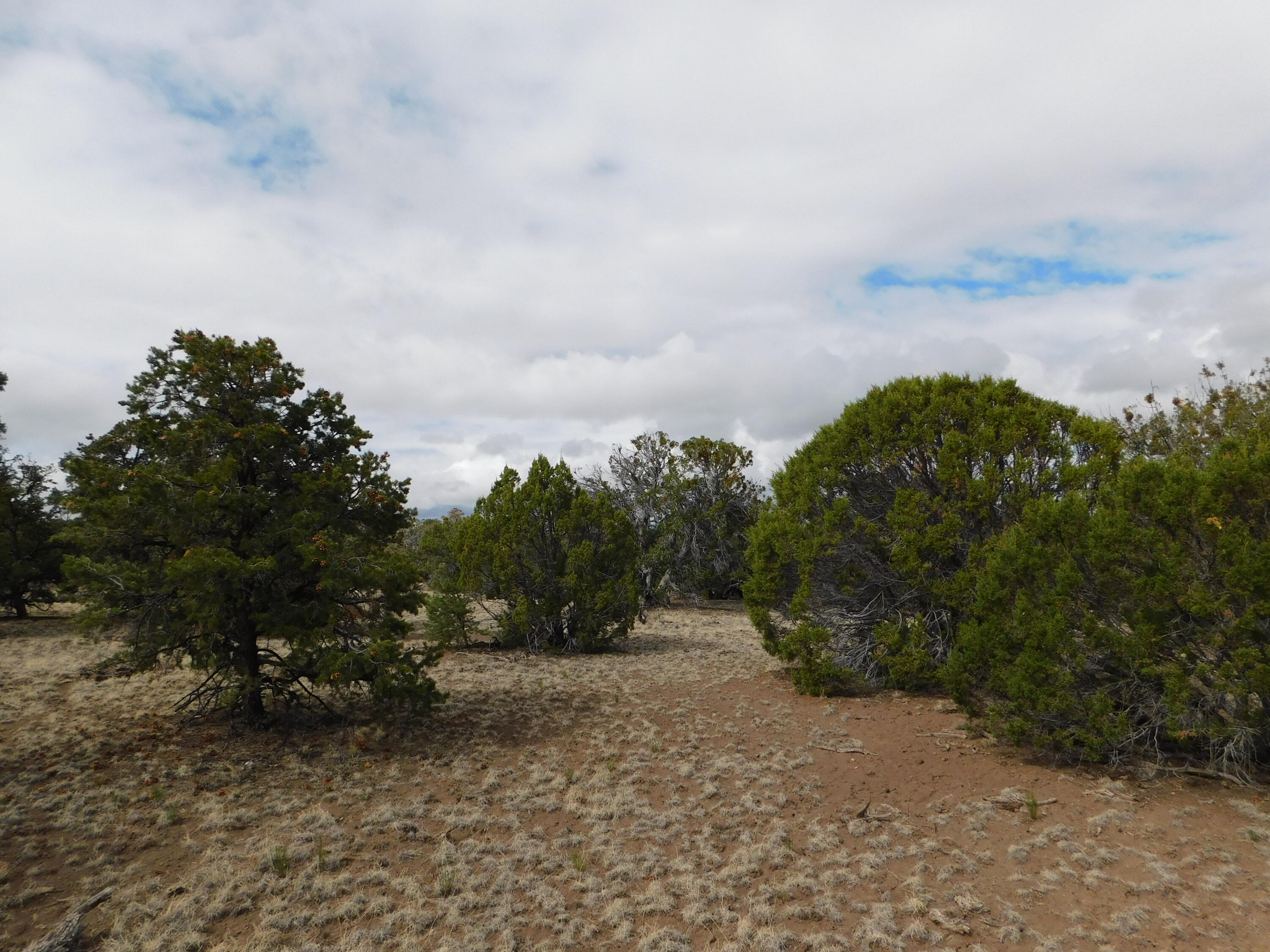 Photo 12 — 174 Agua Fria Loop