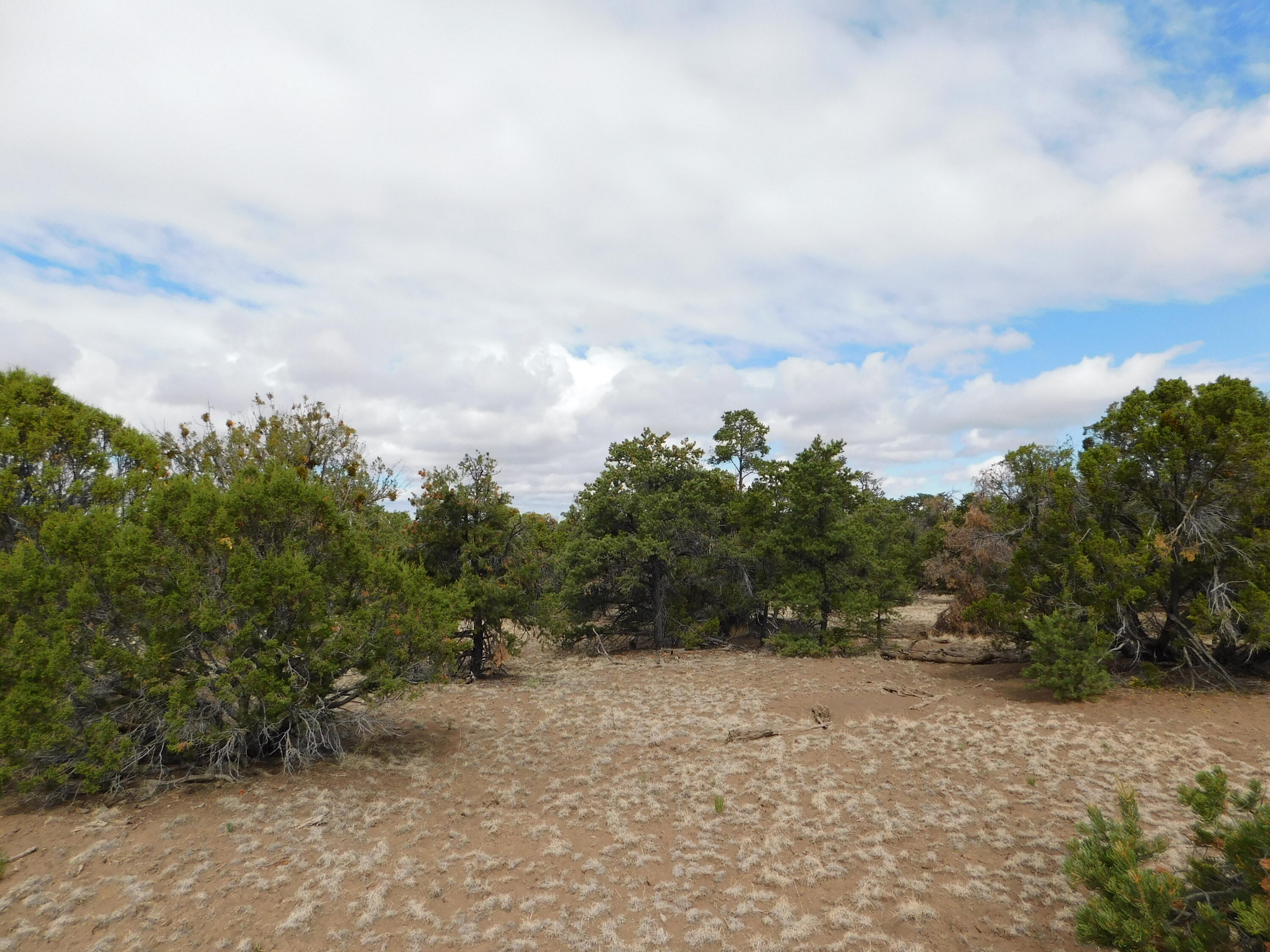 Photo 13 — 174 Agua Fria Loop