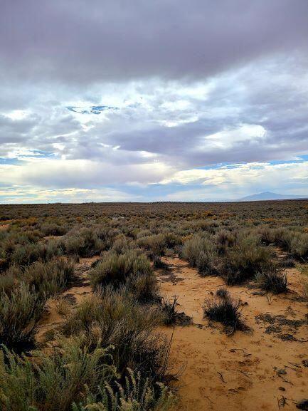 Photo 6 —  Duarte Lot 3