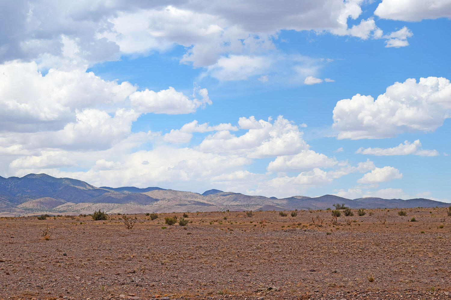 Photo 20 — Lot 326 Desert Mesa Road