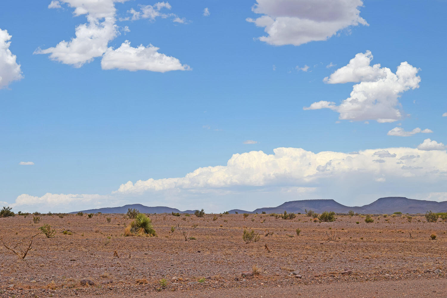 Photo 18 — Lot 326 Desert Mesa Road