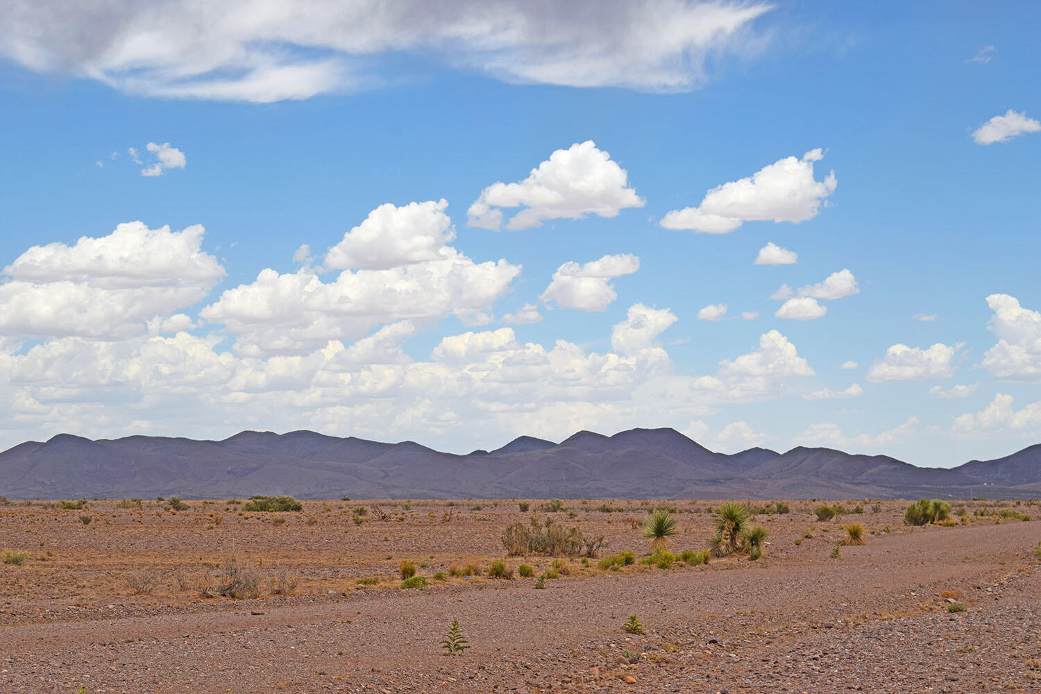 Photo 16 — Lot 326 Desert Mesa Road