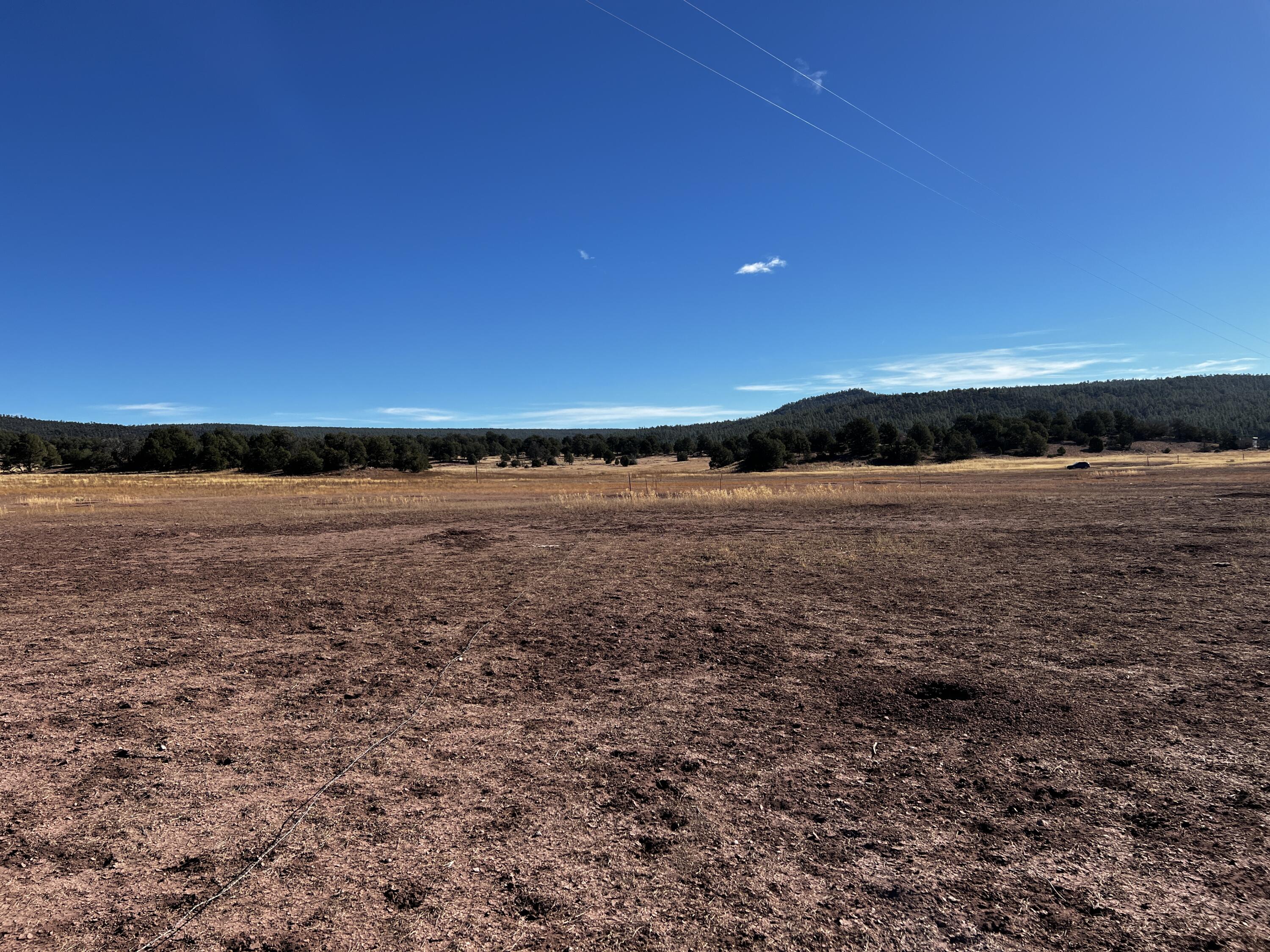 Photo 2 — Lot 2-B Box S Ranch Road