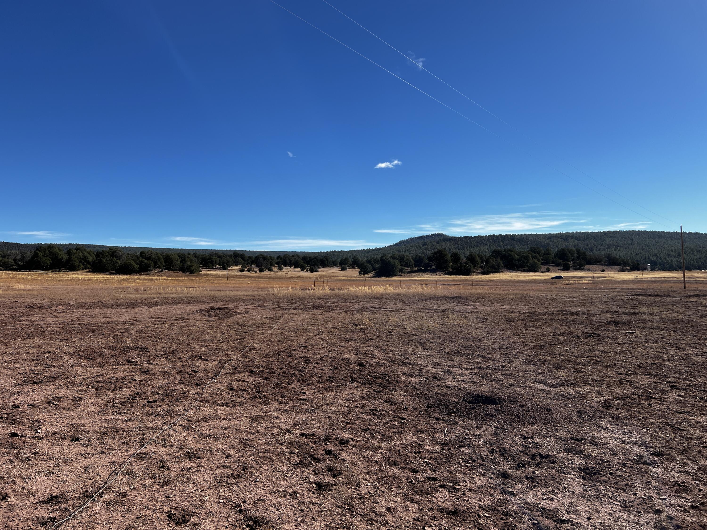 Photo 4 — Lot 2-B Box S Ranch Road