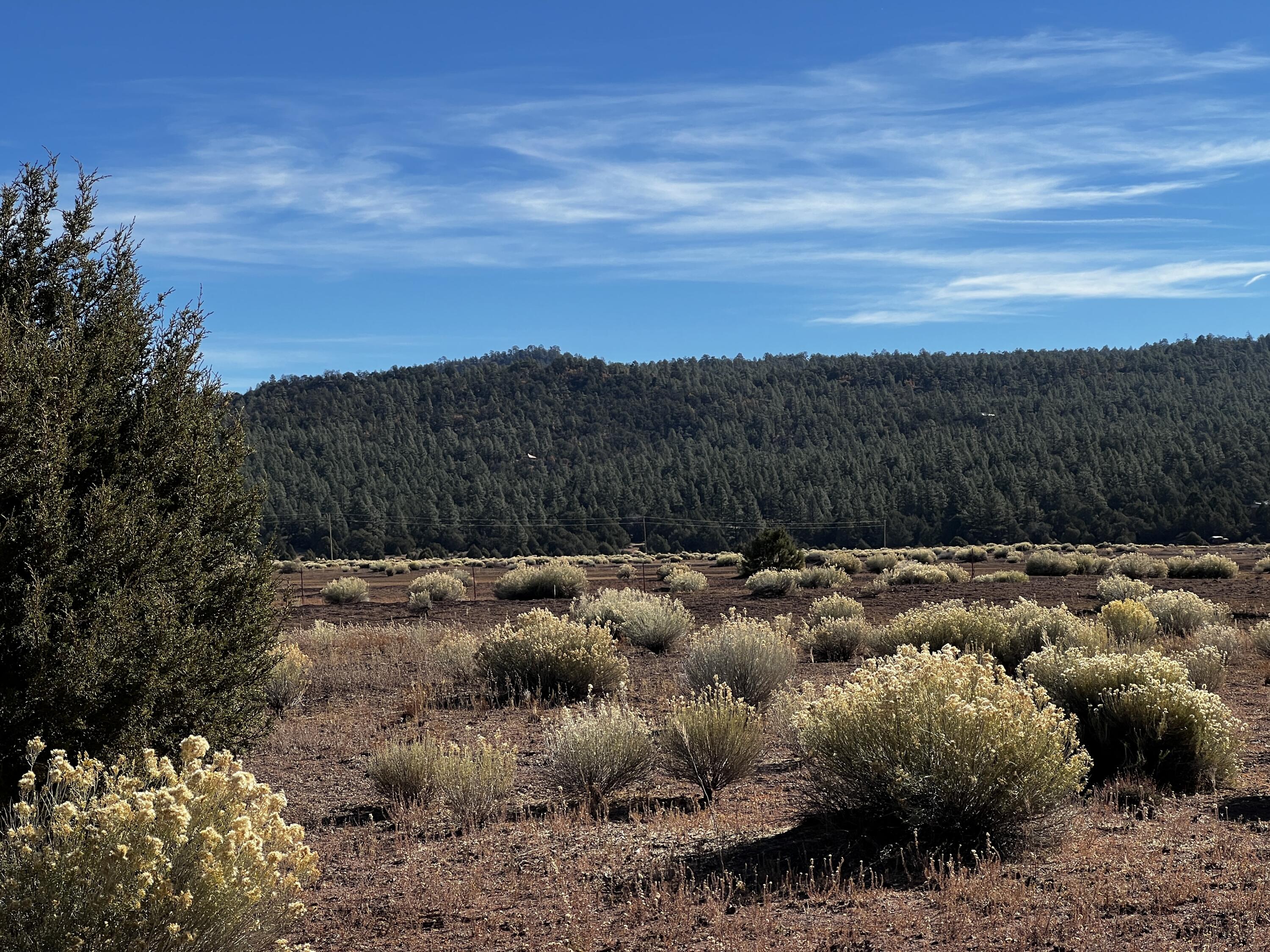 Photo 7 — Lot 2-B Box S Ranch Road