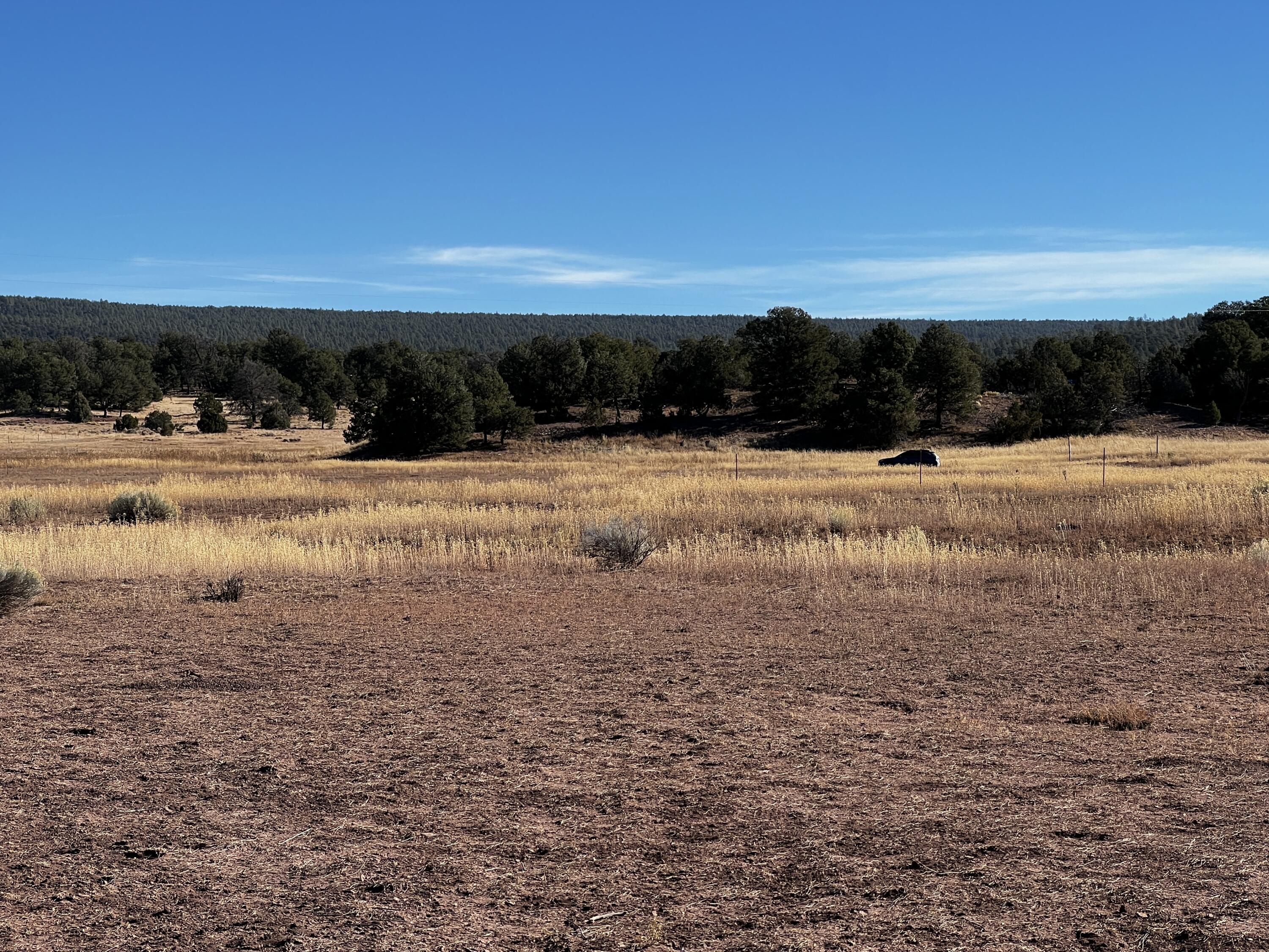 Photo 9 — Lot 2-B Box S Ranch Road