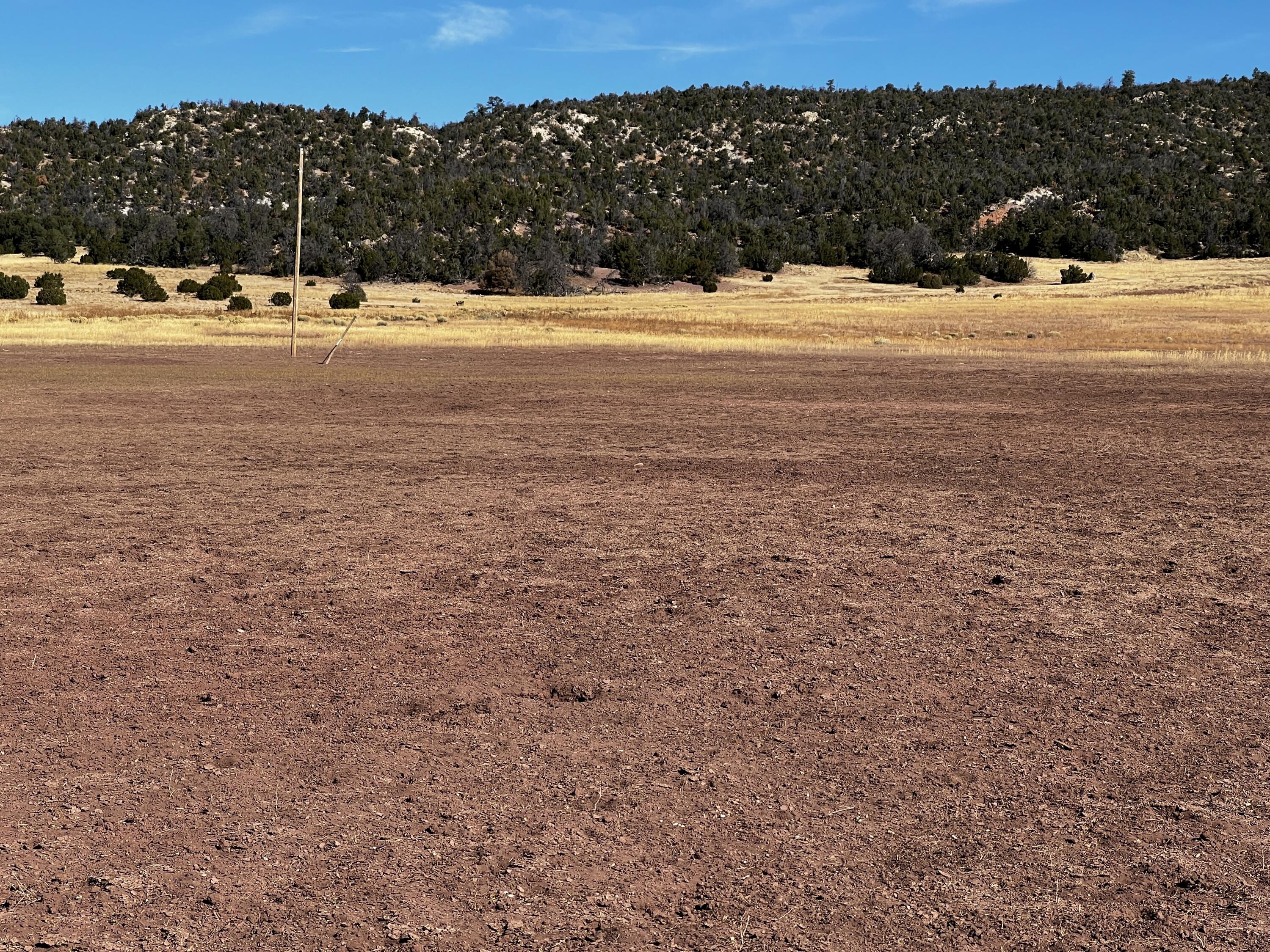 Photo 13 — Lot 2-B Box S Ranch Road