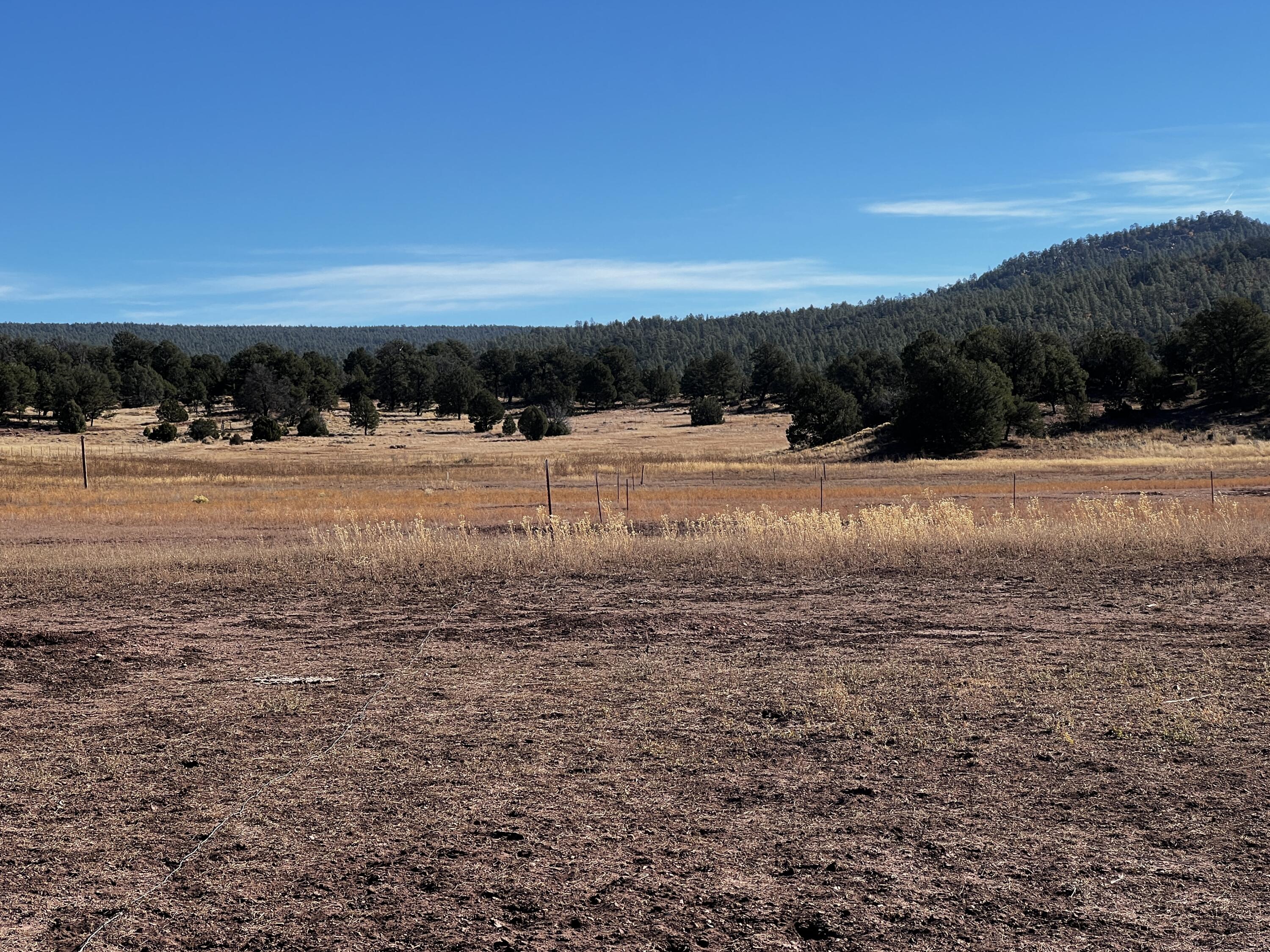 Photo 14 — Lot 2-B Box S Ranch Road