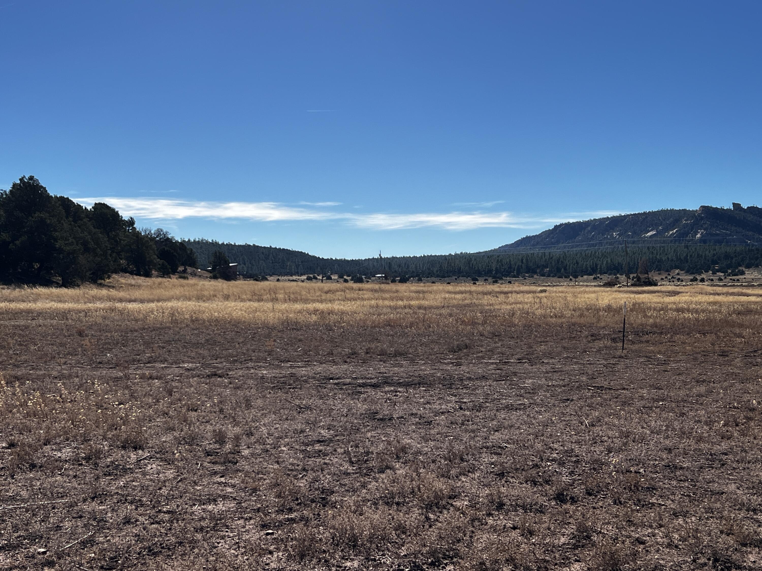 Photo 16 — Lot 2-B Box S Ranch Road
