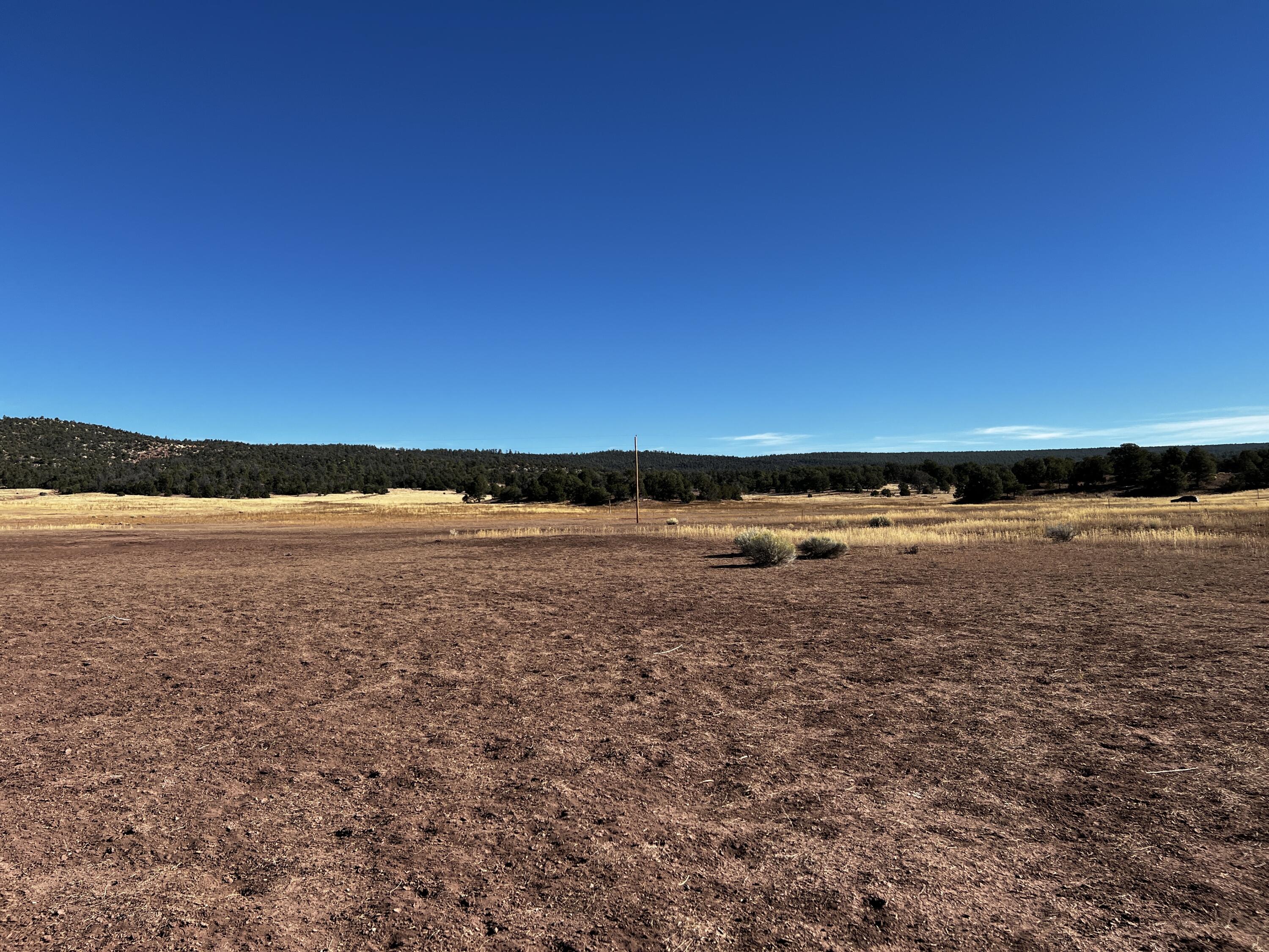 Photo 18 — Lot 2-B Box S Ranch Road