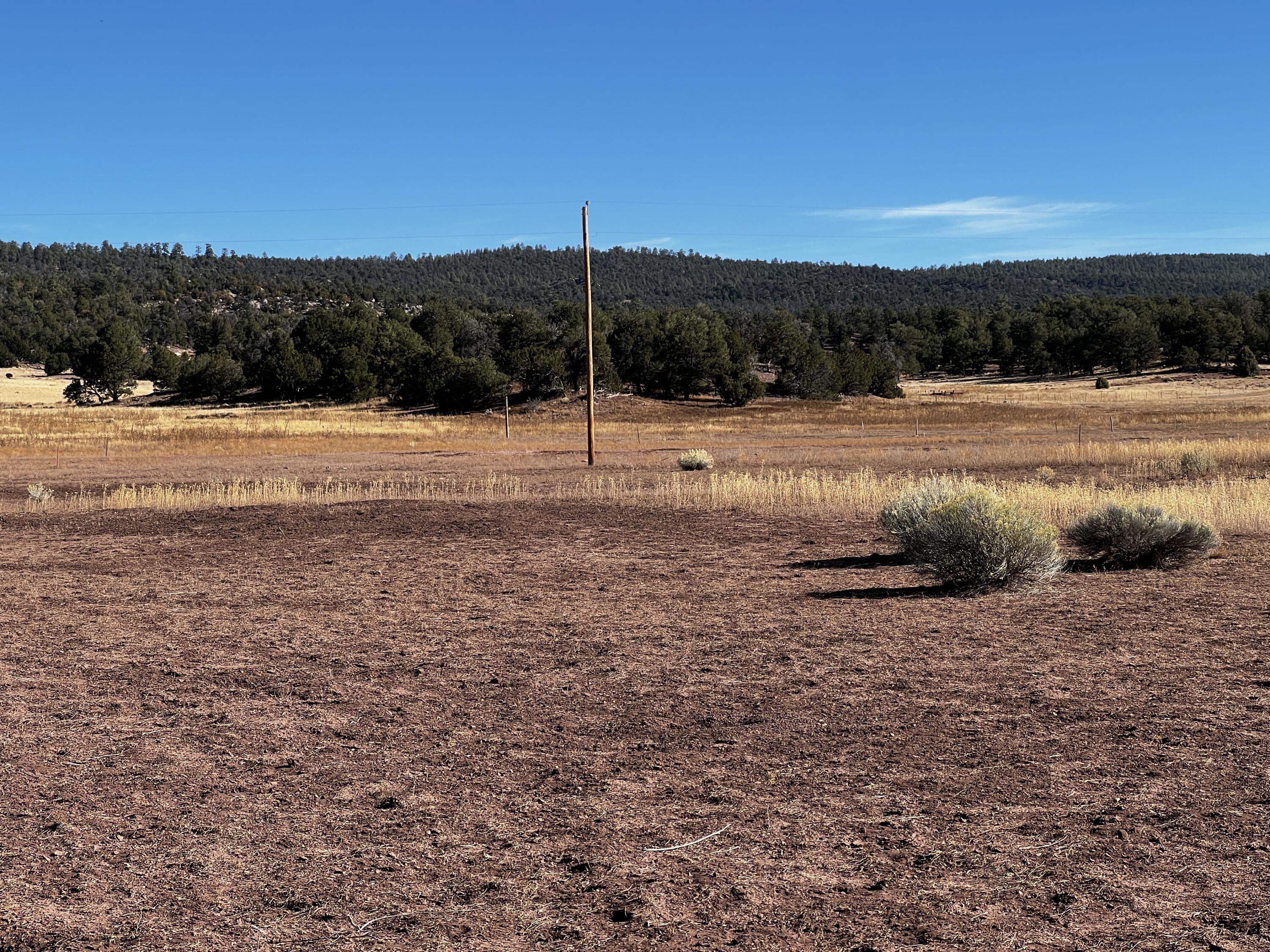 Photo 19 — Lot 2-B Box S Ranch Road