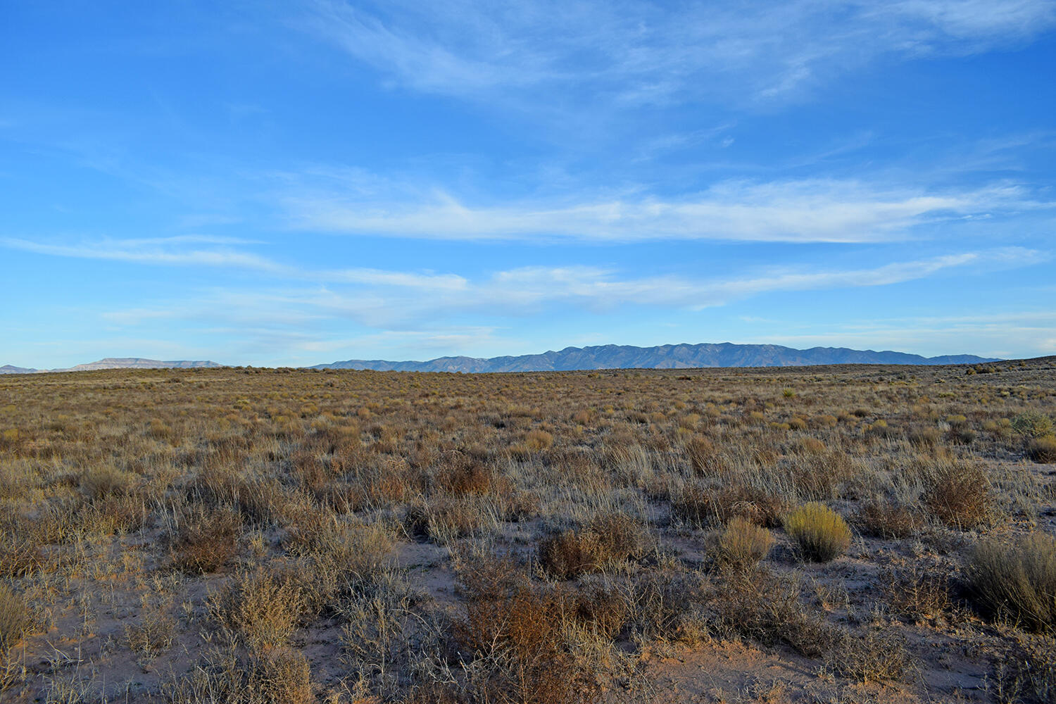 Lot 3 Rio Del Oro 63, Belen, NM 87002