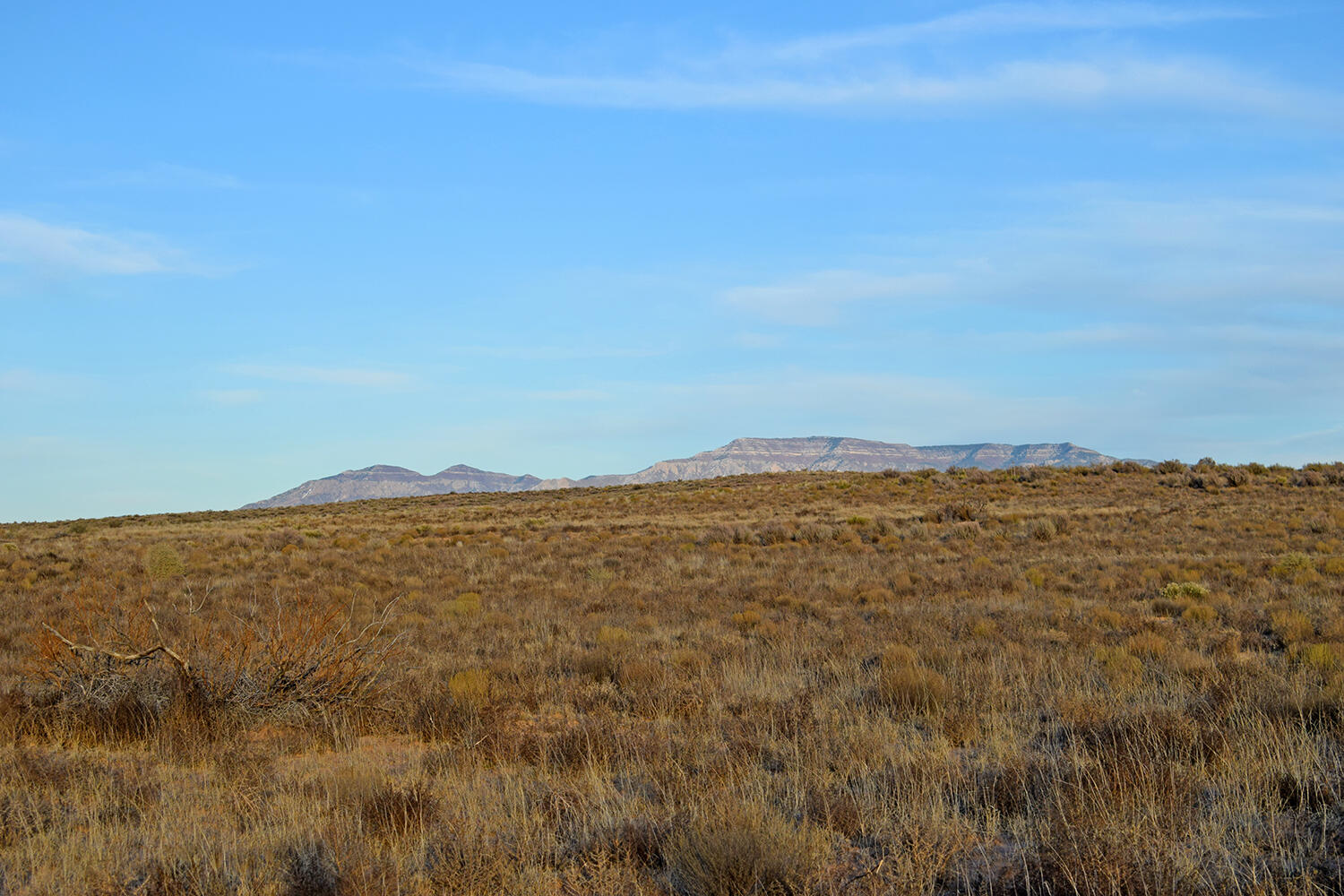 Photo 8 — Lot 3 Rio Del Oro 63