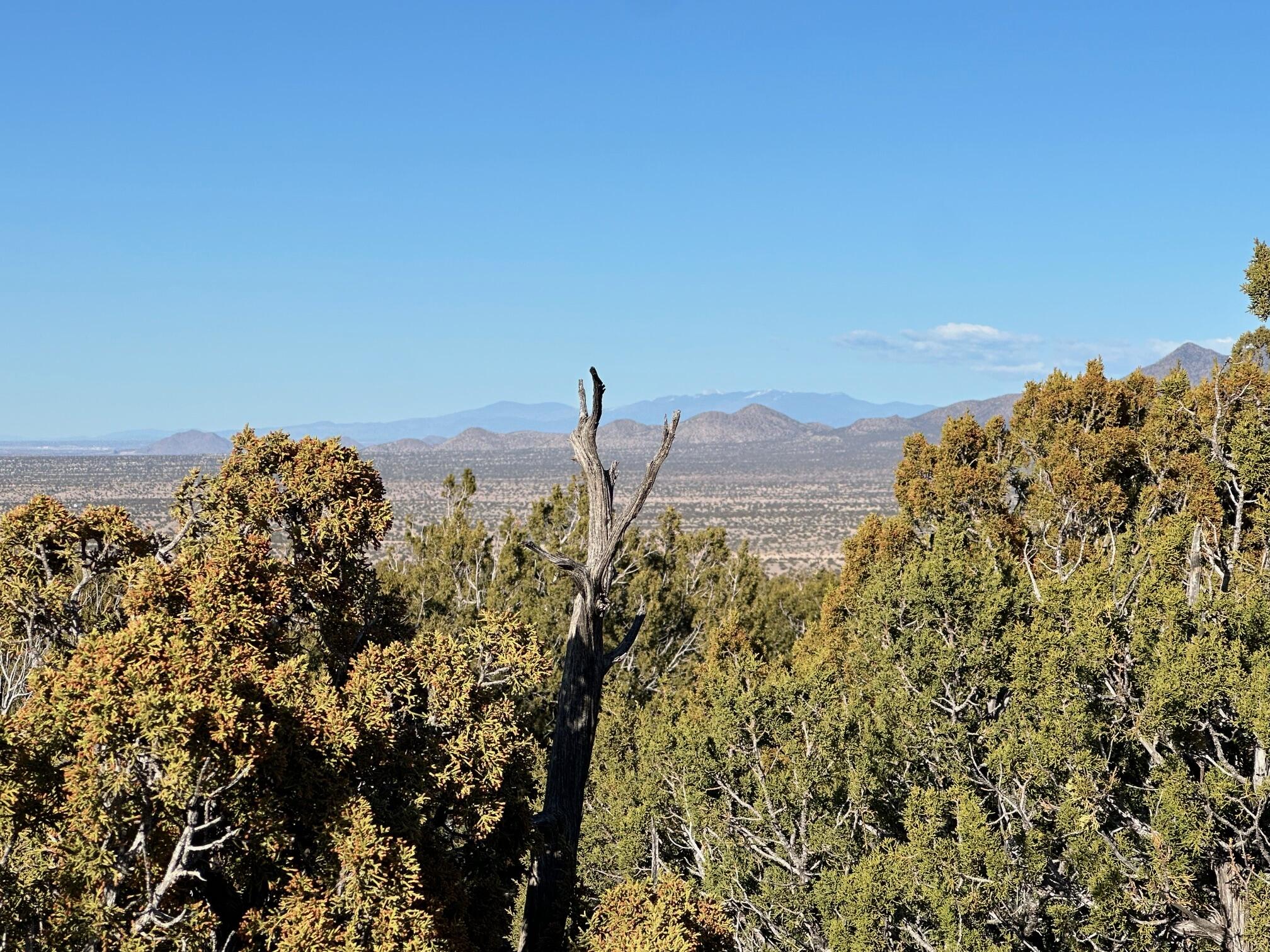 Photo 15 — 26 LA CANTERA