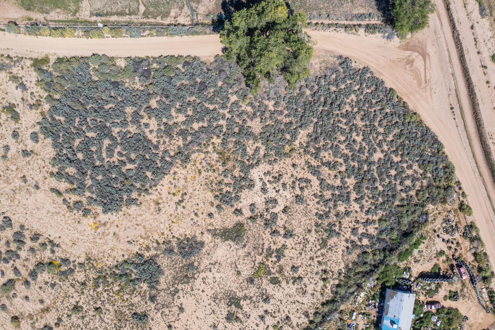Photo 12 — 00064 La Ladera Estates-vacant land Road