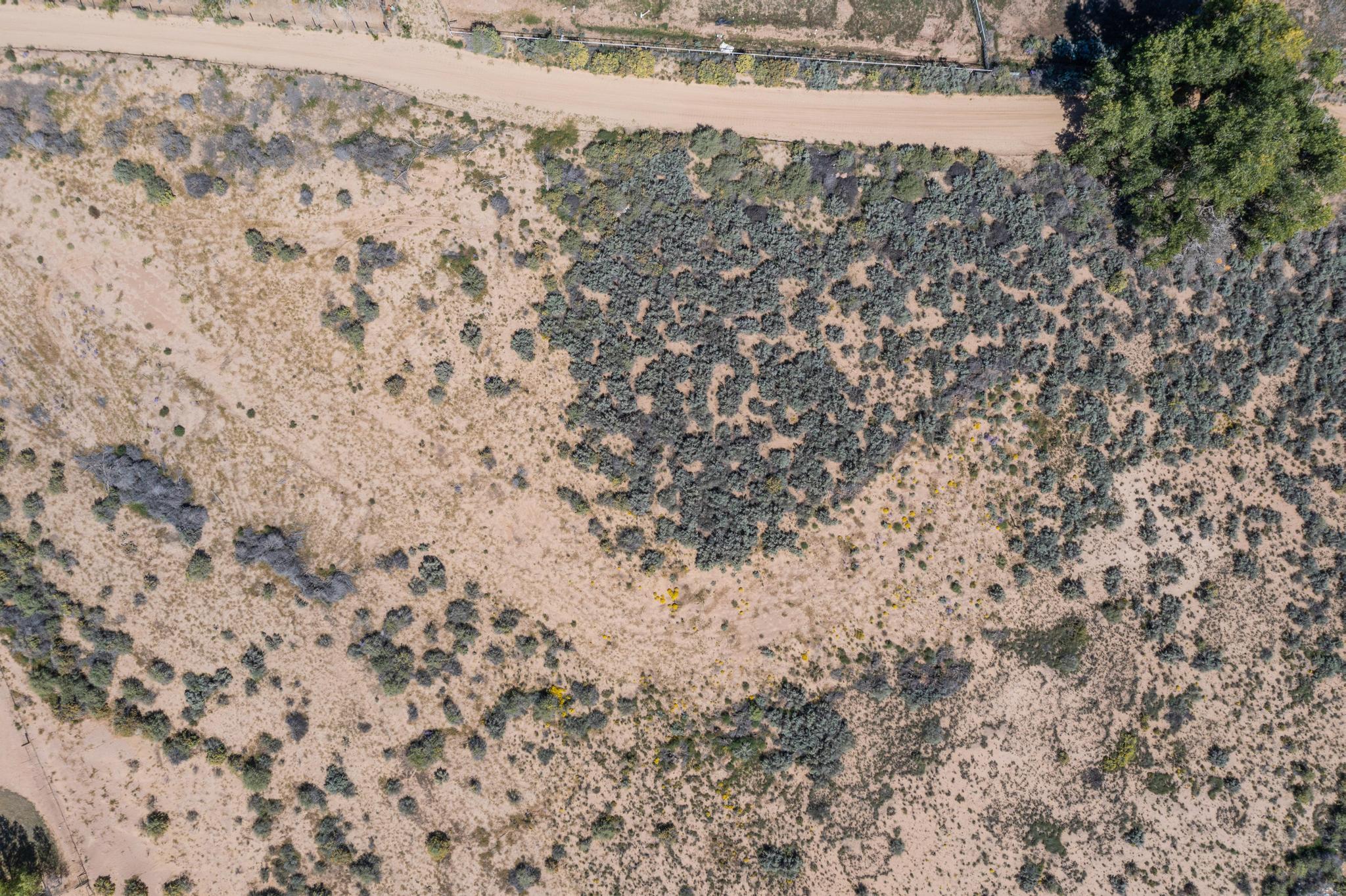 Photo 19 — 00070 La Ladera Estates-vacant land