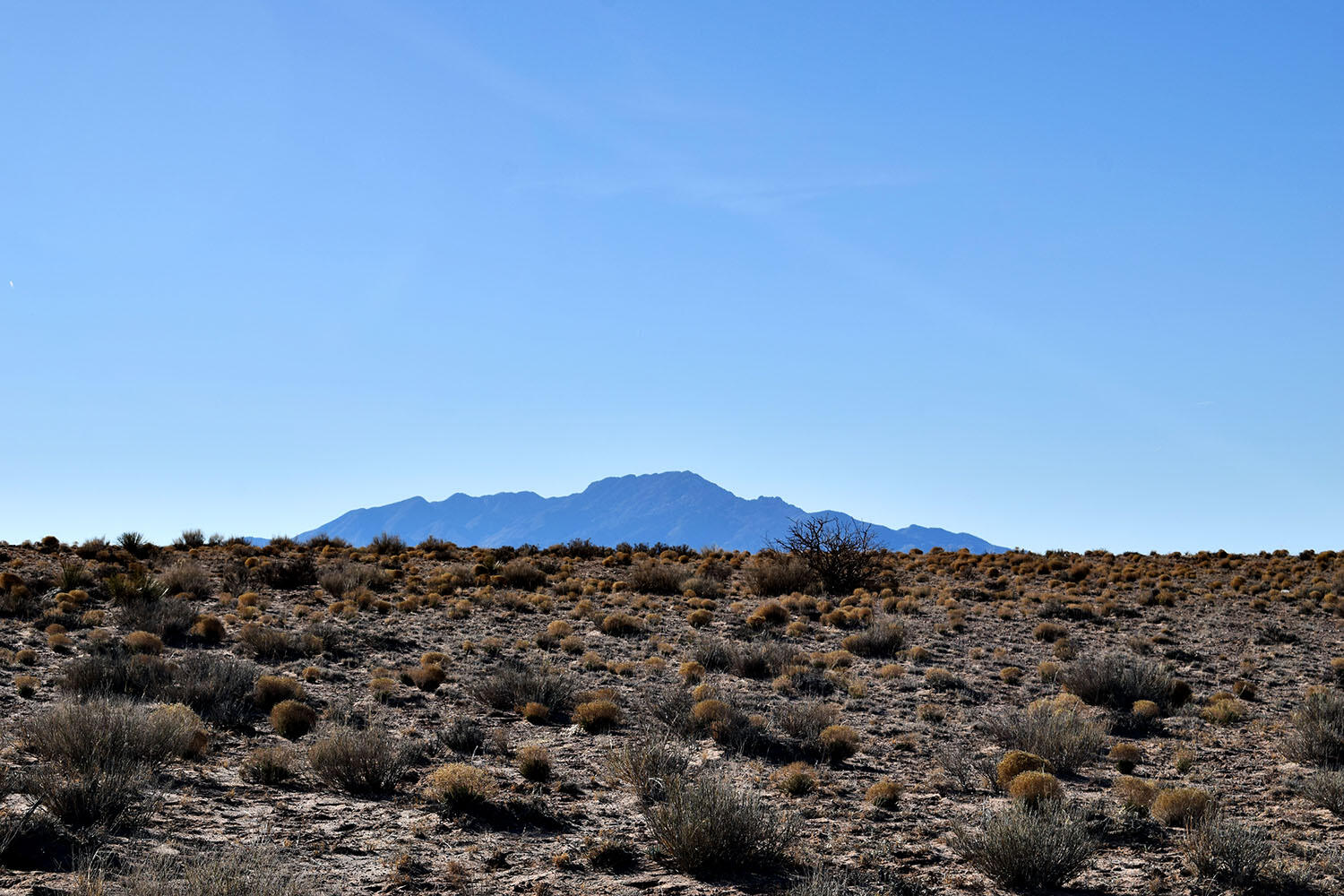 Photo 12 — Lot 10 Parras Avenue