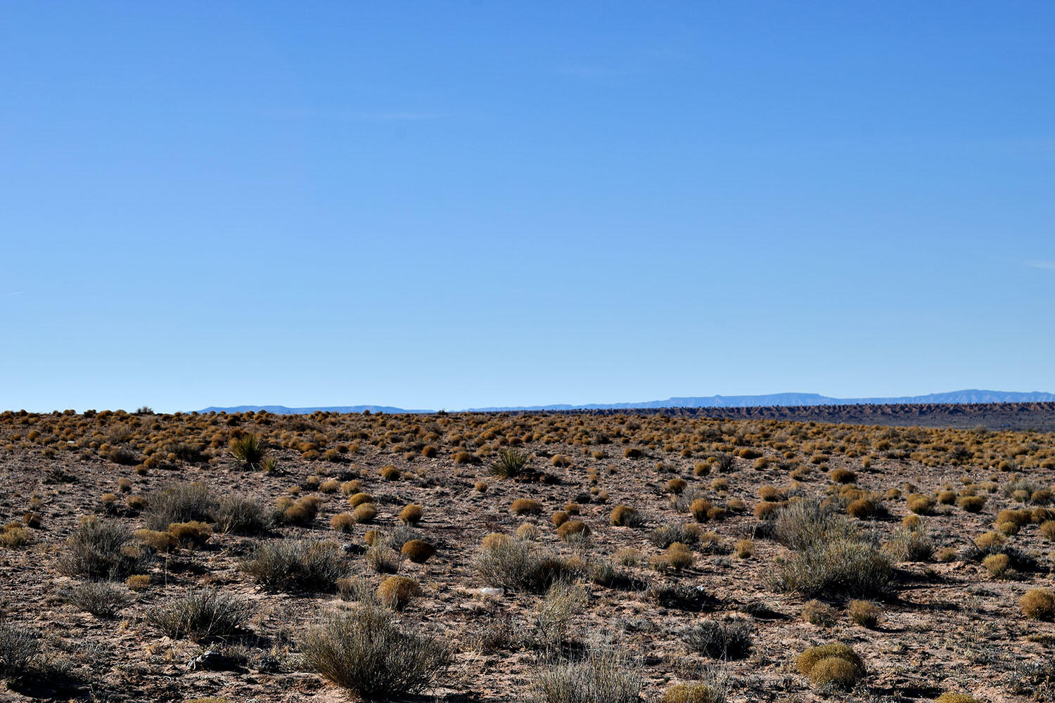 Photo 11 — Lot 10 Parras Avenue