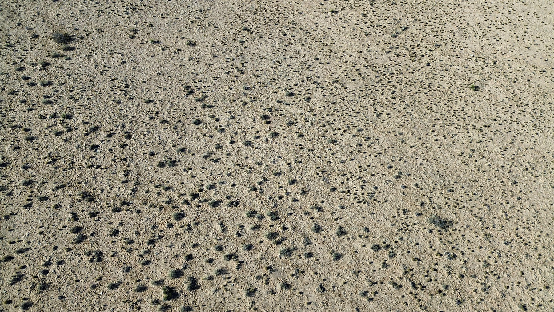 Photo 6 — Lot 10 Parras Avenue