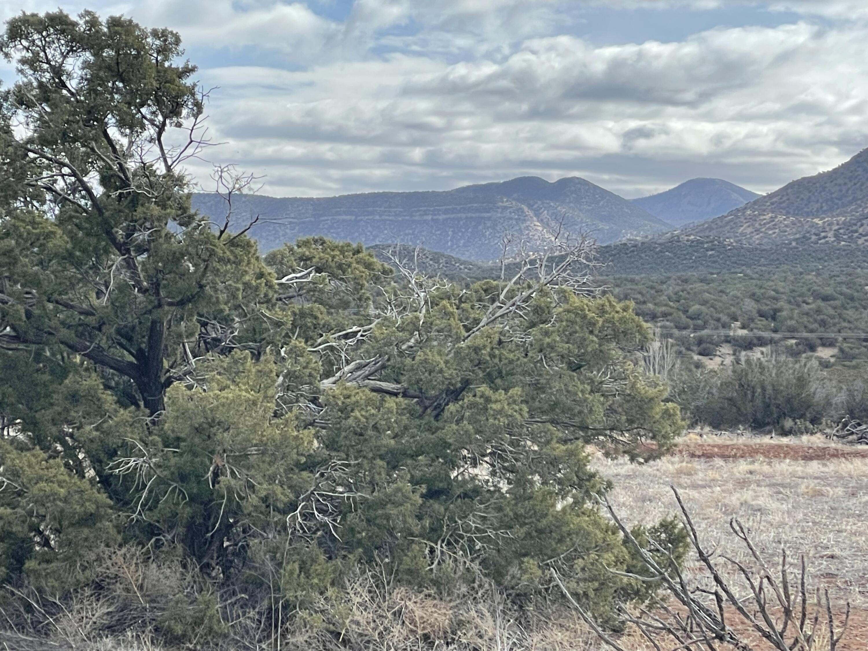 Photo 11 — 150 Paako Drive
