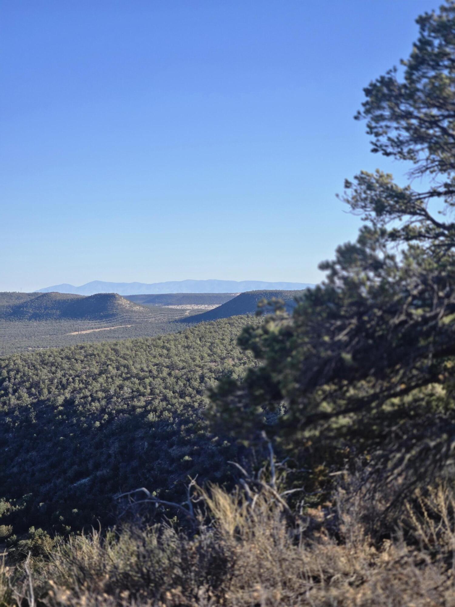 Photo 9 — Lot 6 Crow Bait Trail