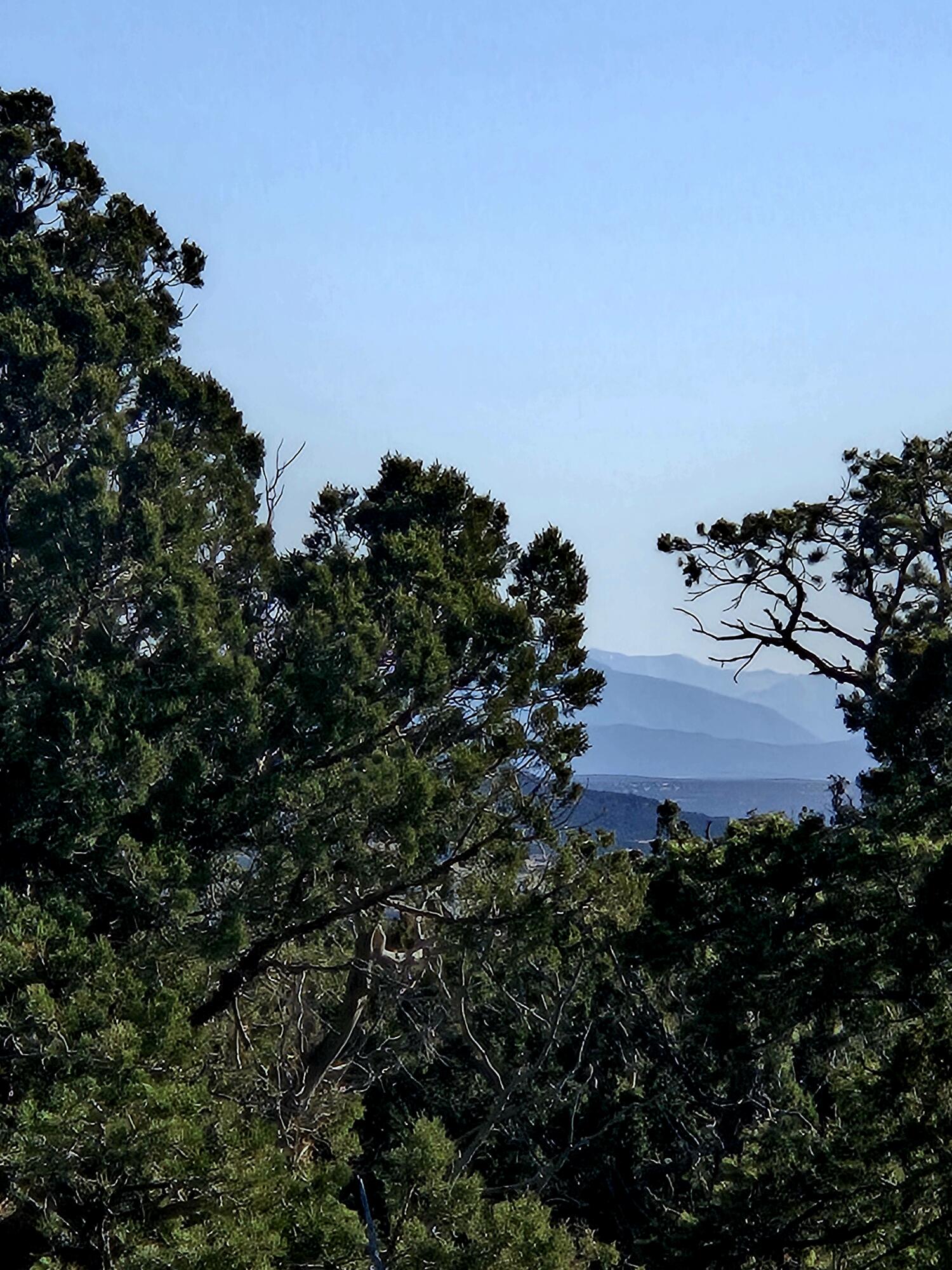 Photo 10 — Lot 6 Crow Bait Trail