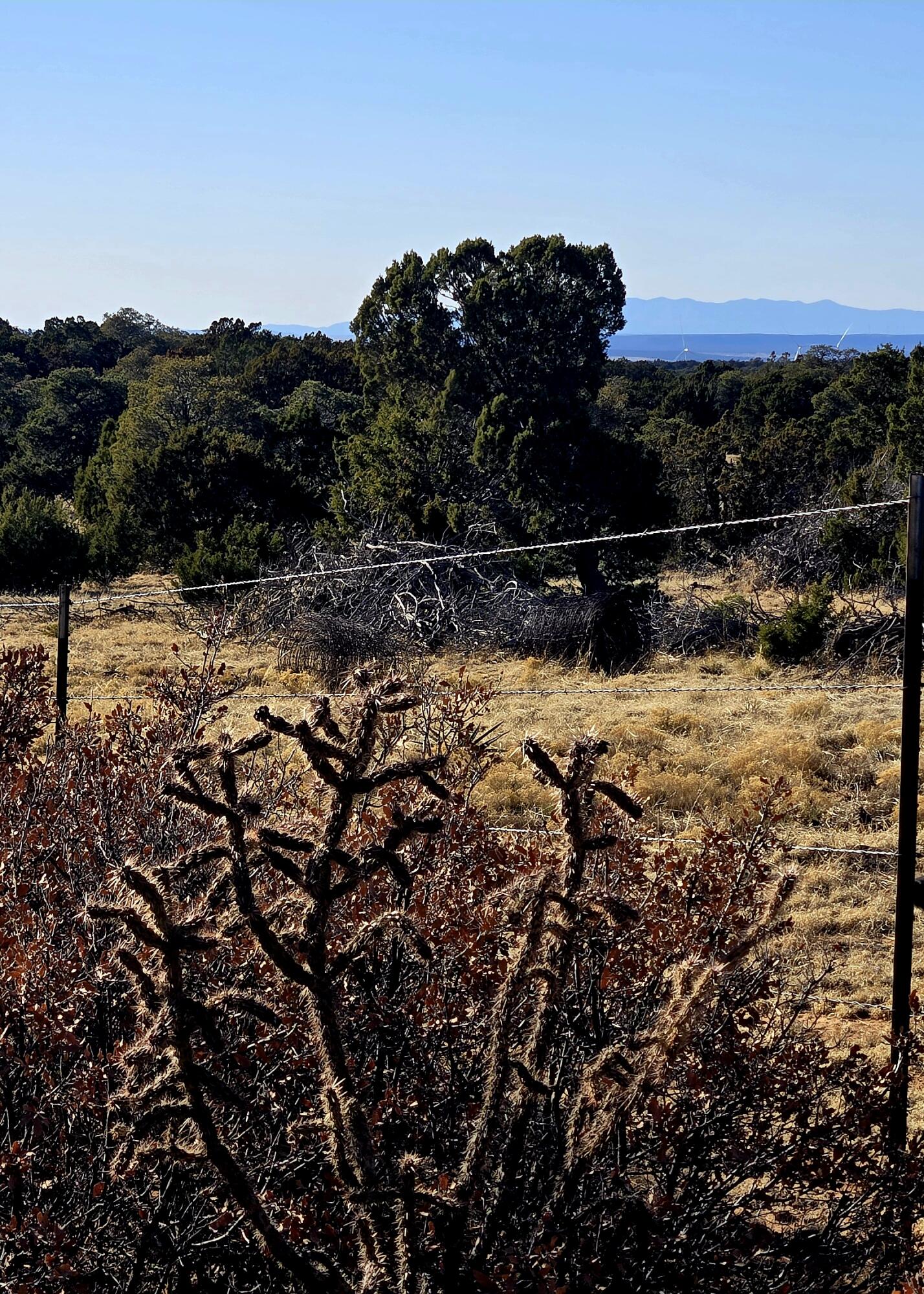Photo 11 — Lot 6 Crow Bait Trail