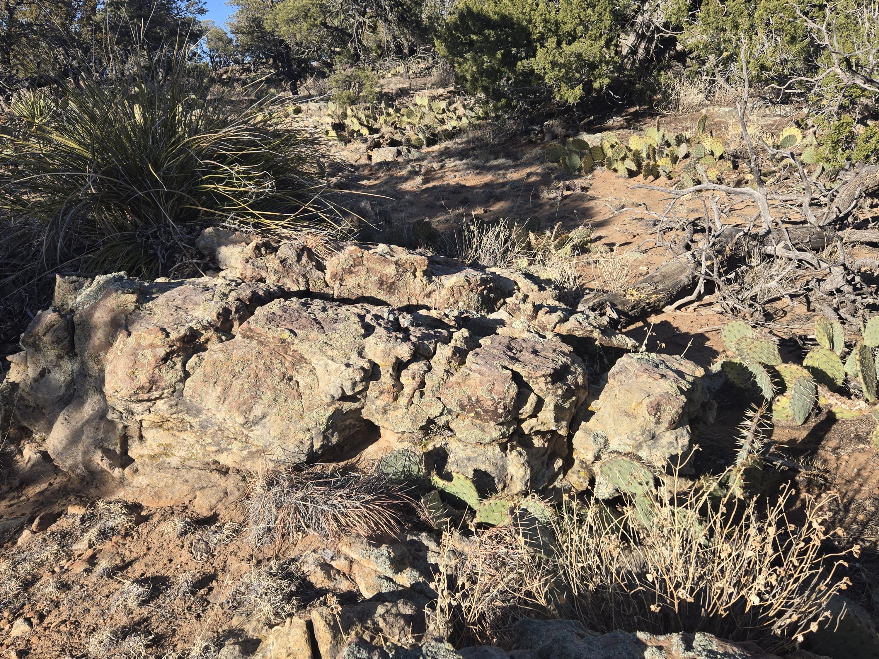 Photo 2 — Lot 6 Crow Bait Trail