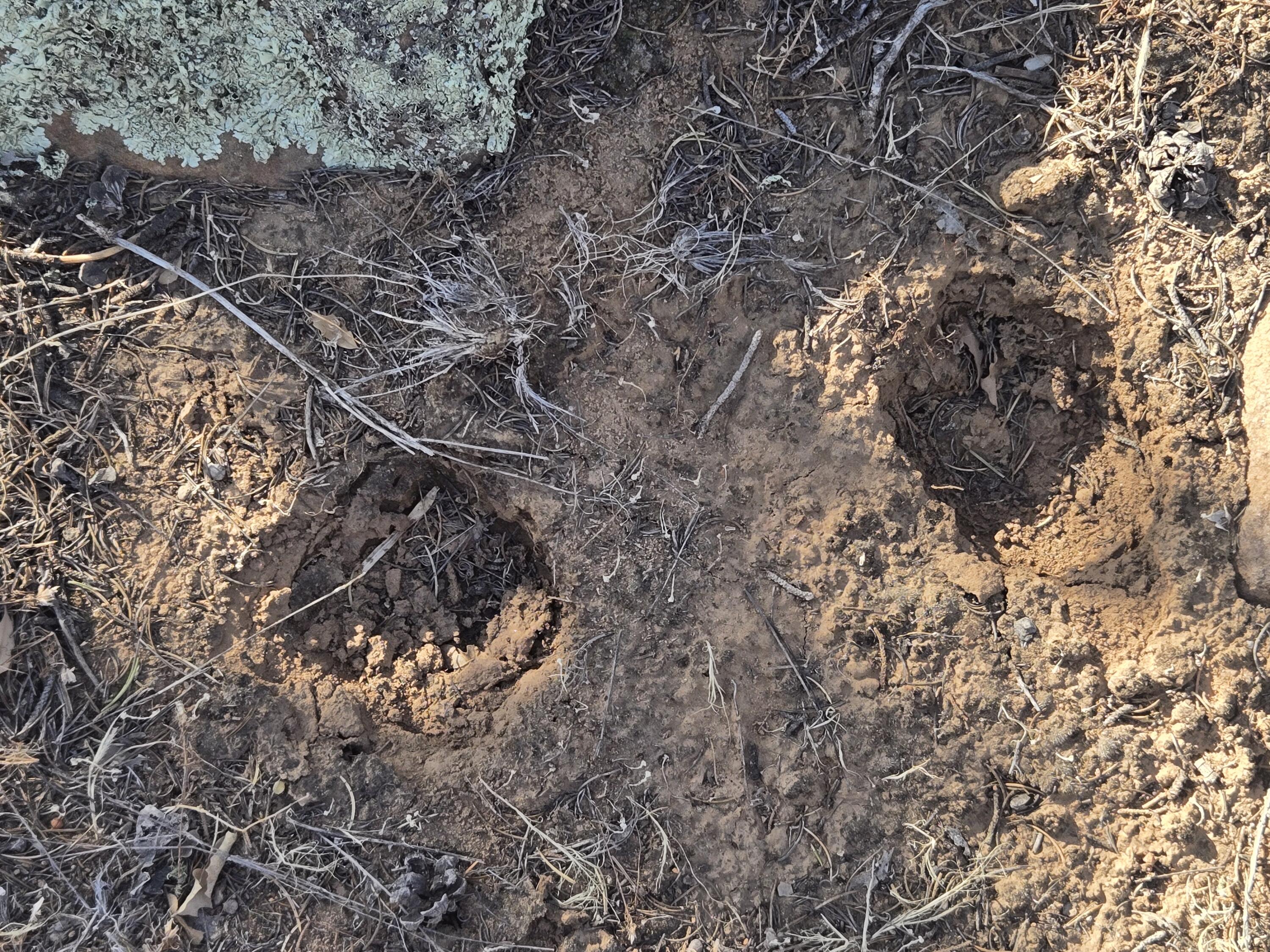 Photo 3 — Lot 6 Crow Bait Trail