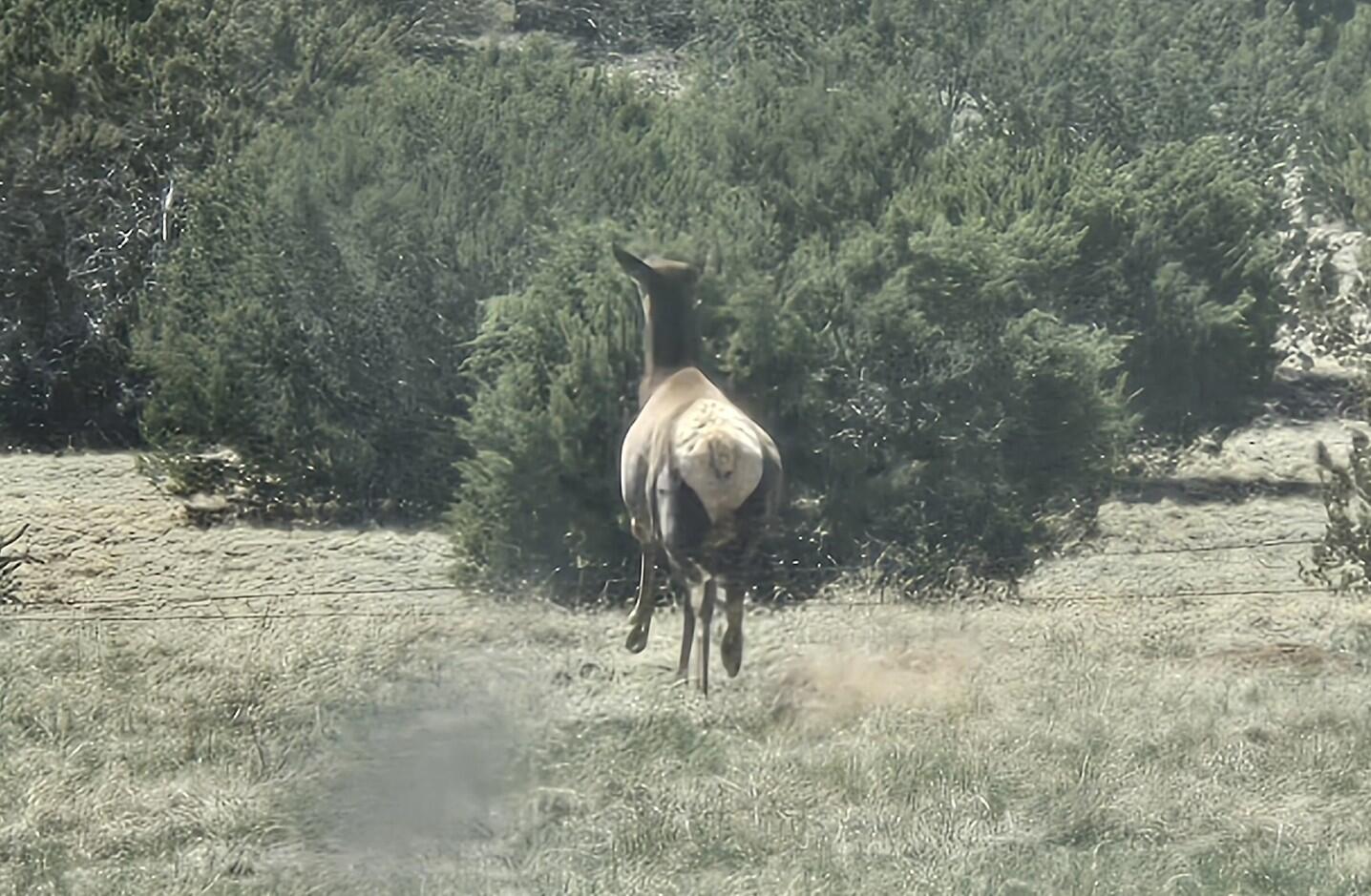 Photo 4 — Lot 6 Crow Bait Trail