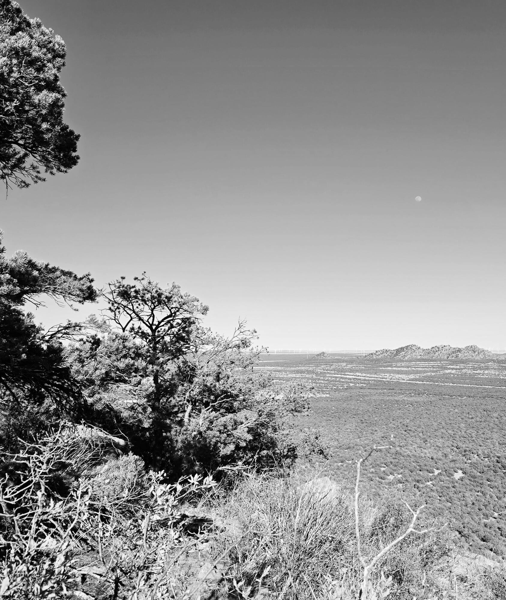 Photo 5 — Lot 6 Crow Bait Trail