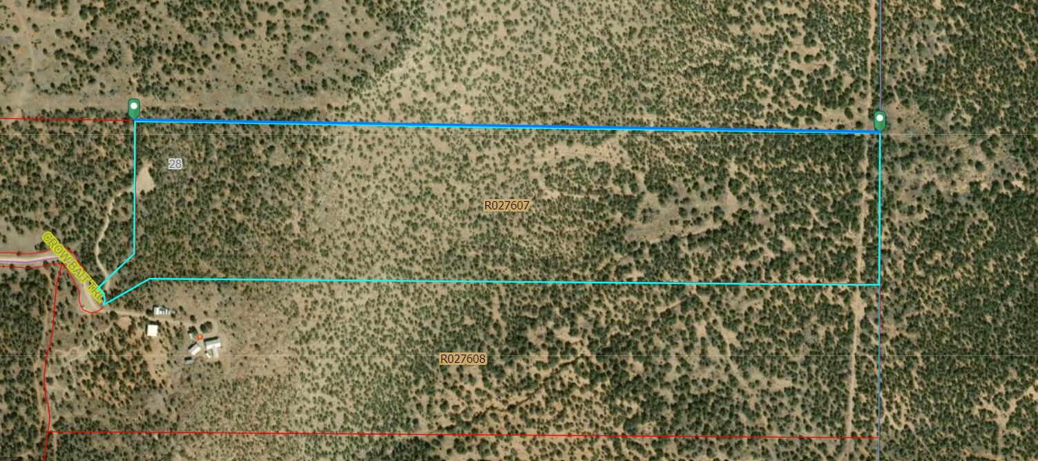 Photo 6 — Lot 6 Crow Bait Trail
