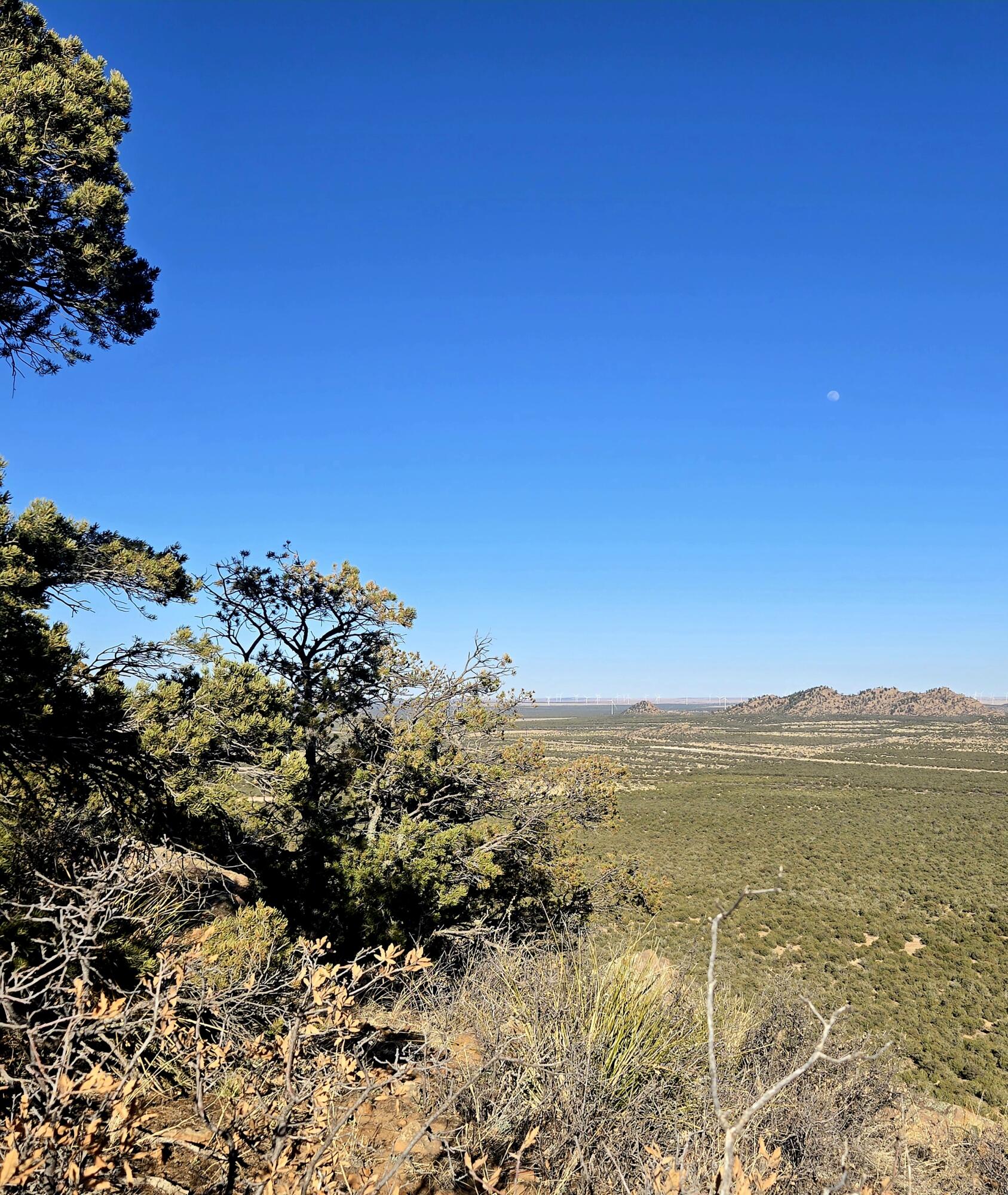 Photo 20 — Lot 6 Crow Bait Trail