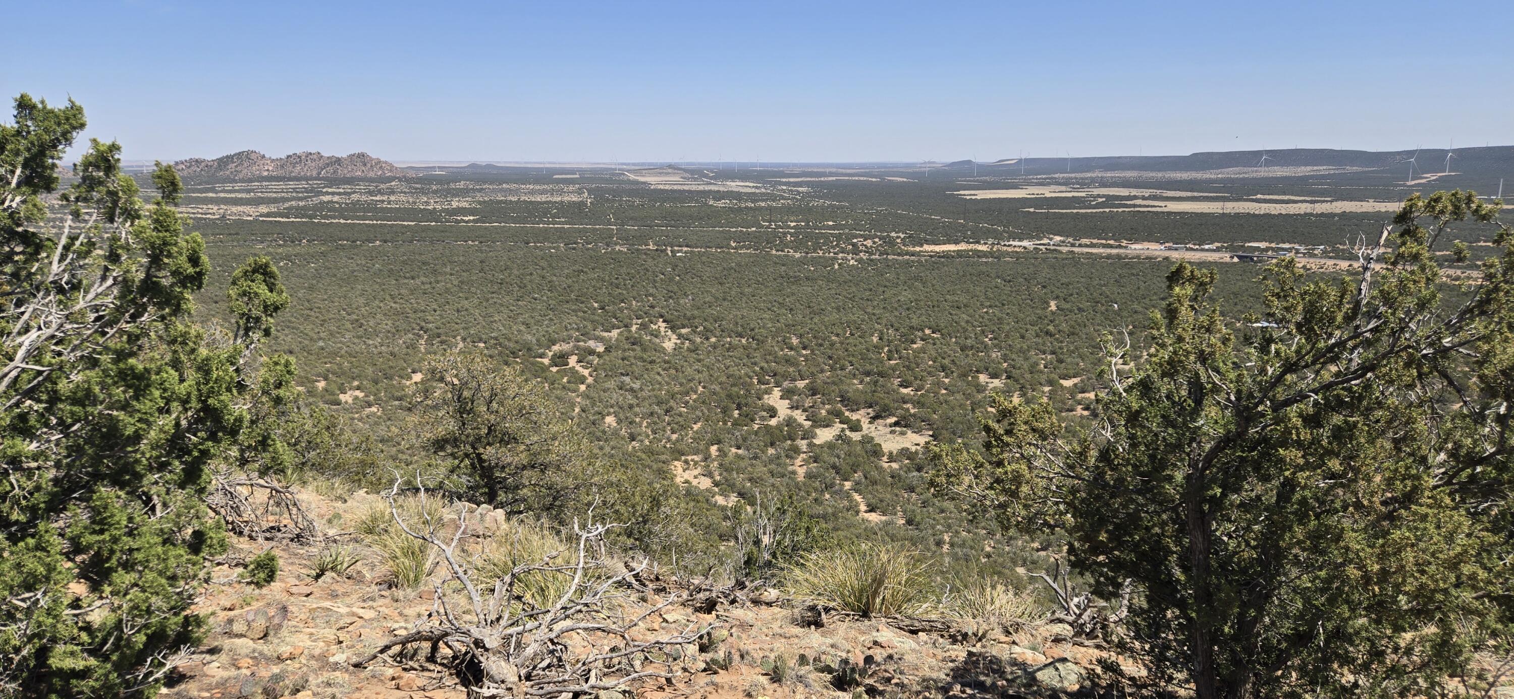 Photo 19 — Lot 6 Crow Bait Trail