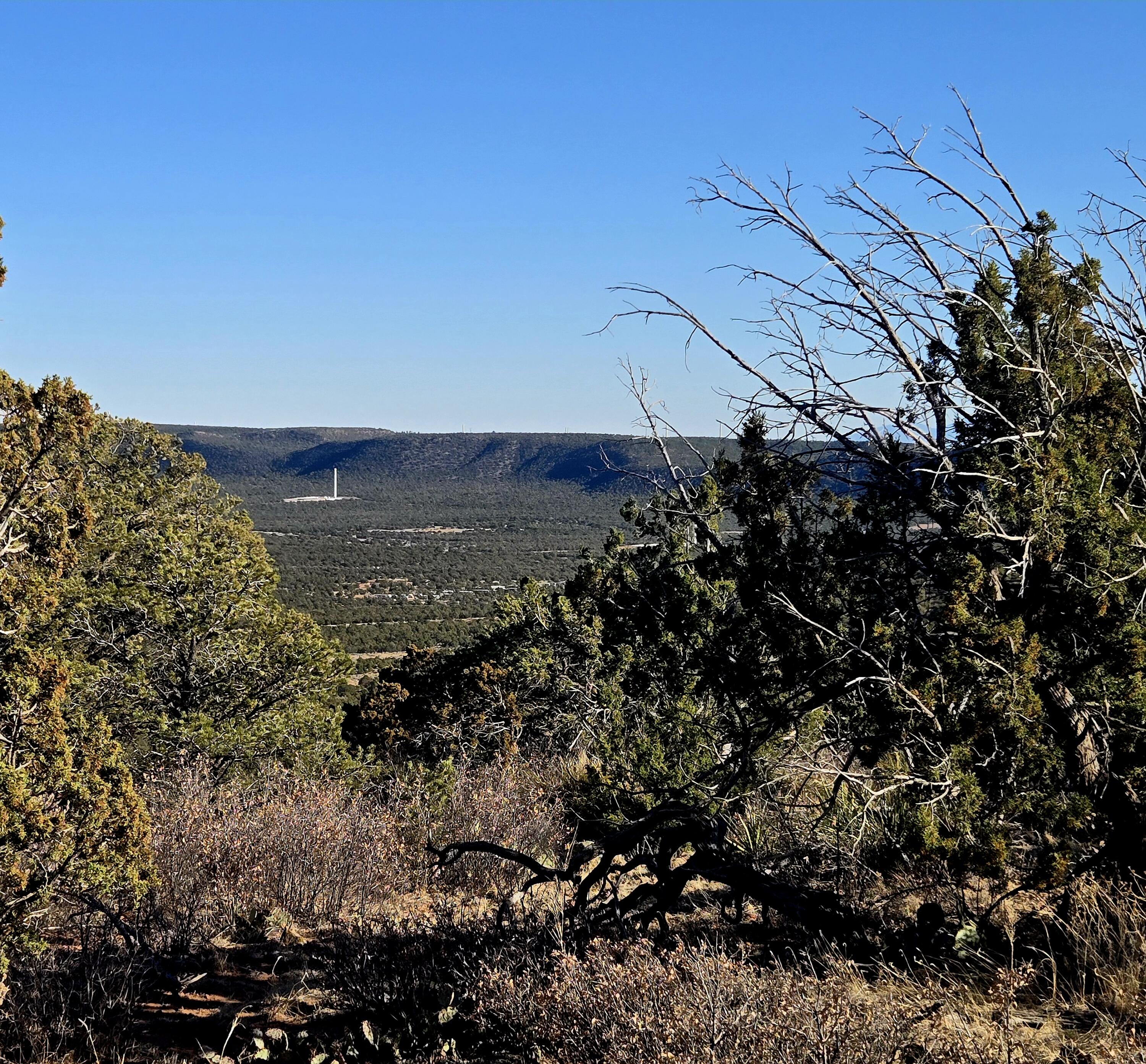 Photo 13 — Lot 6 Crow Bait Trail