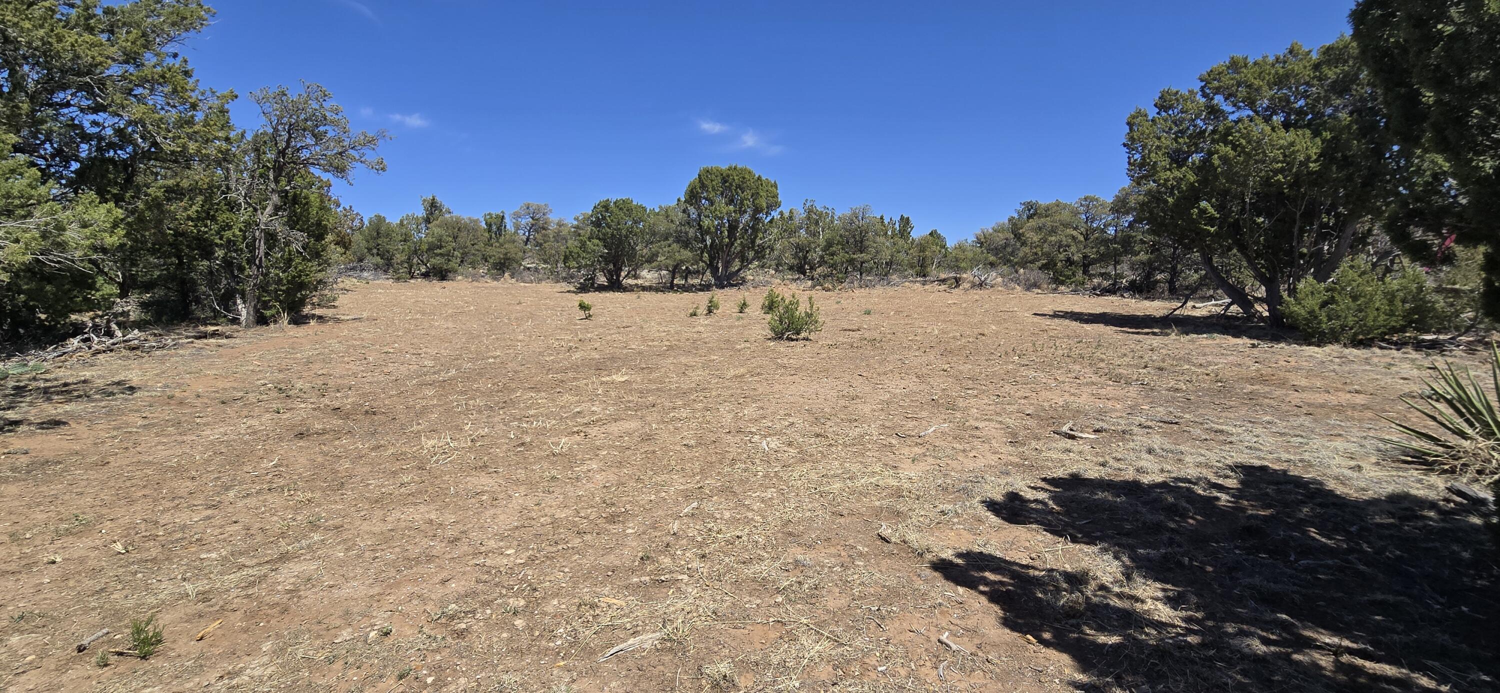 Photo 14 — Lot 6 Crow Bait Trail