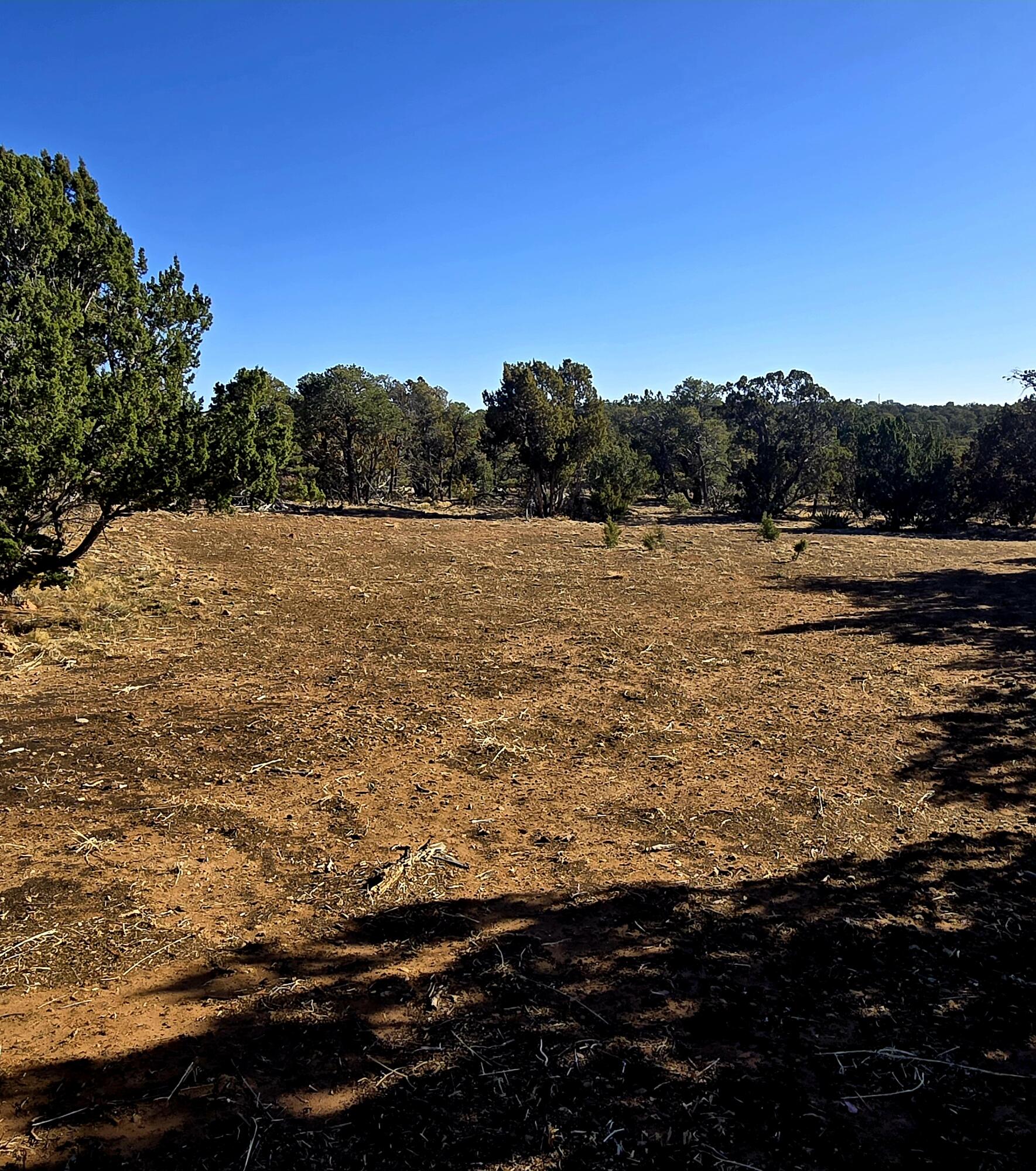 Photo 15 — Lot 6 Crow Bait Trail